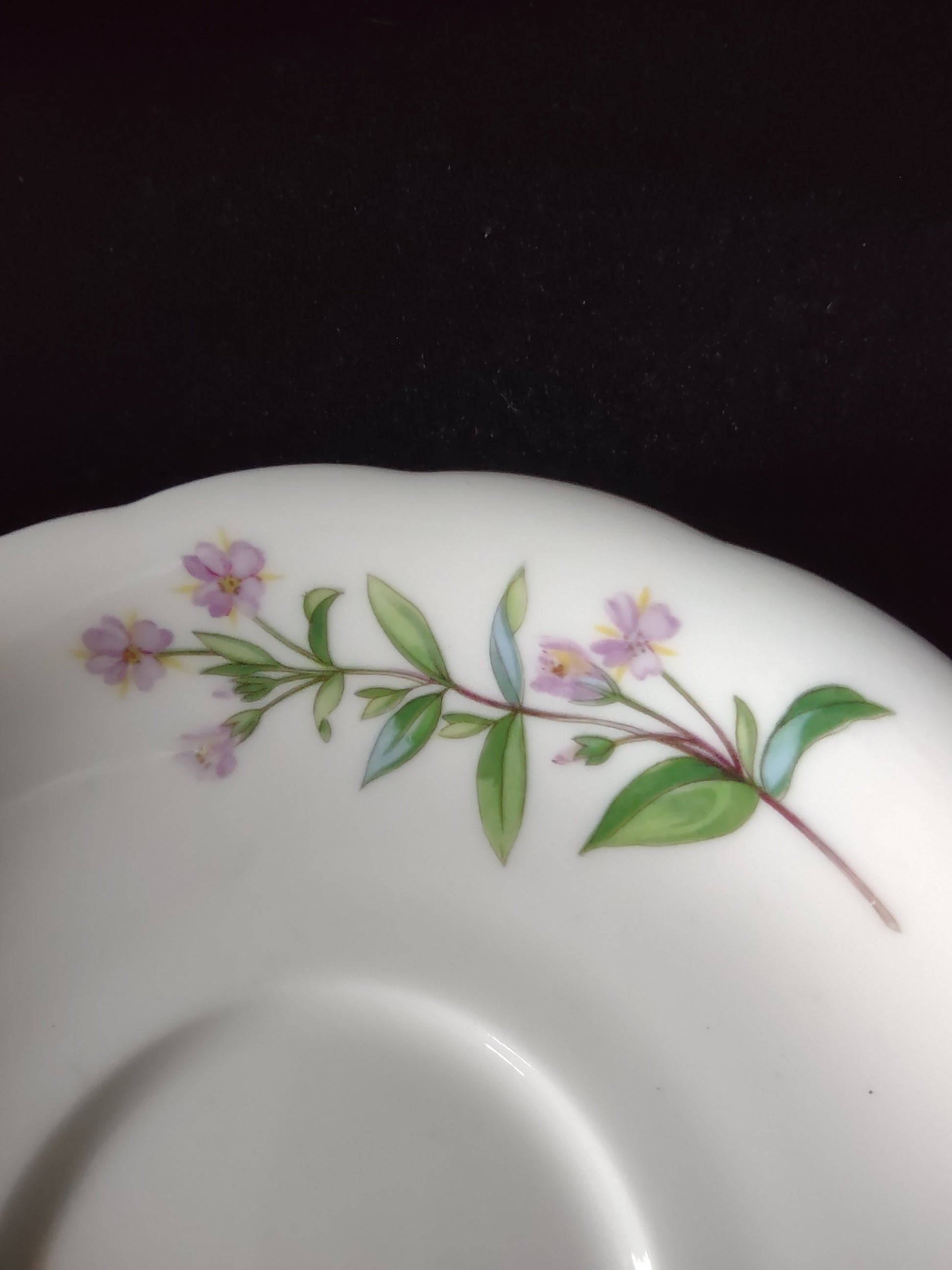 Vintage Minton Meadow Teacup Saucer Bone China Floral Scalloped (Lot 5508)