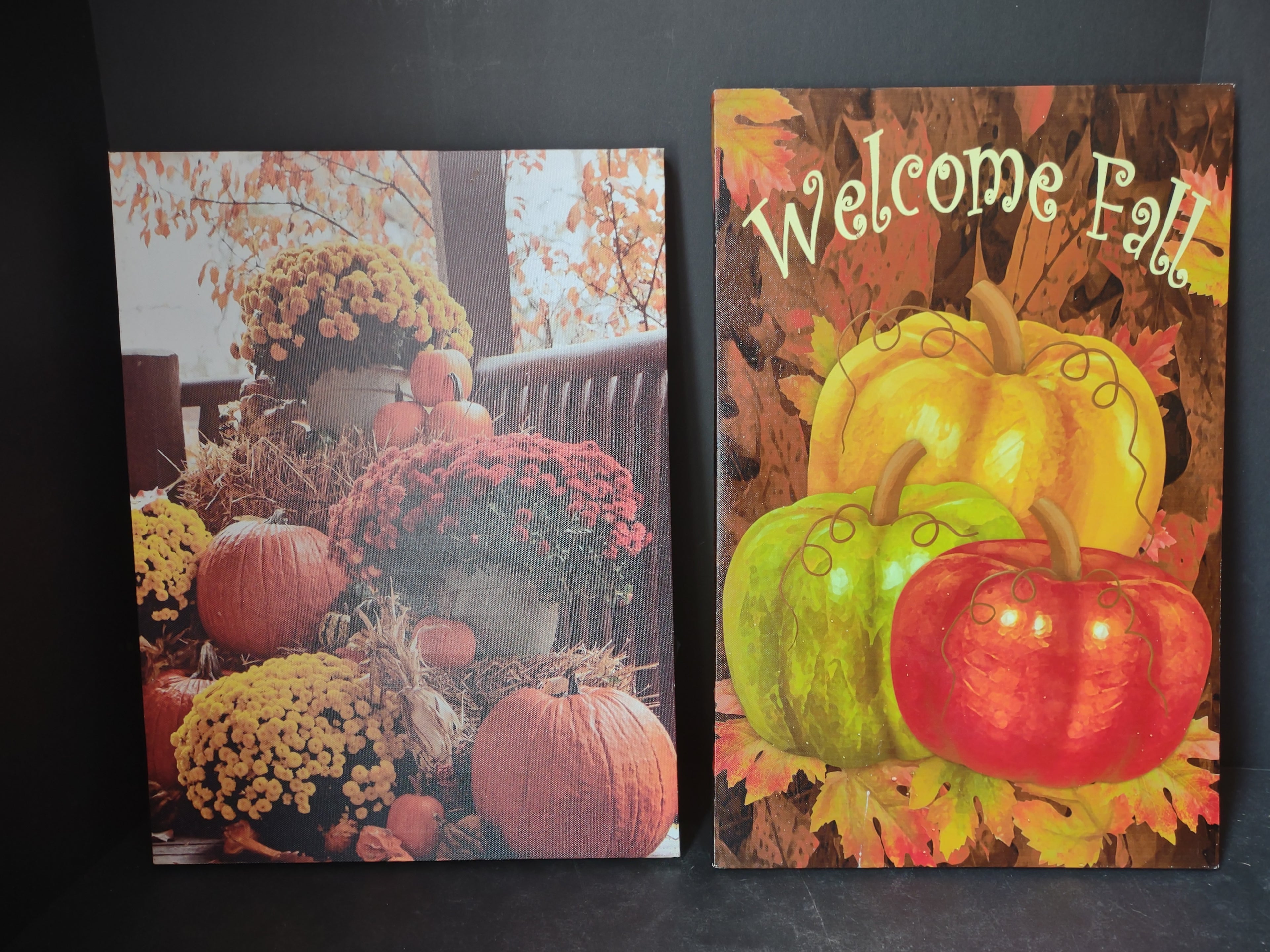 Thanksgiving Fall Picture Wall Decor Pumpkin Mums ONE Lights Up (lot 3096)