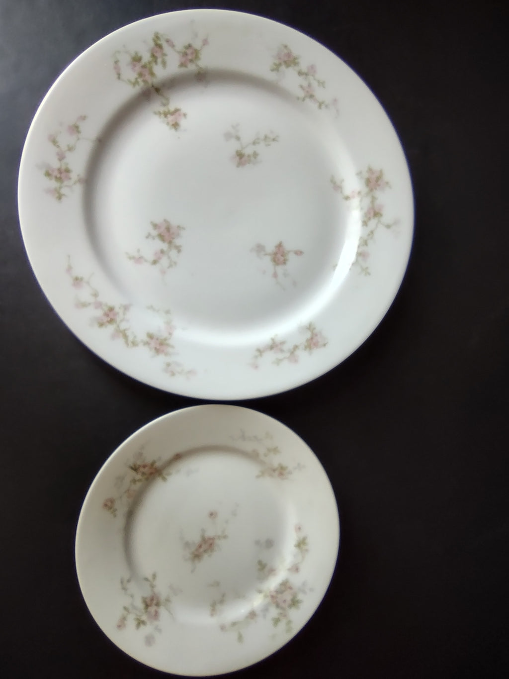 Haviland Limoges Pink Spray Dinner & Bread/Butter Plate (lot 921)