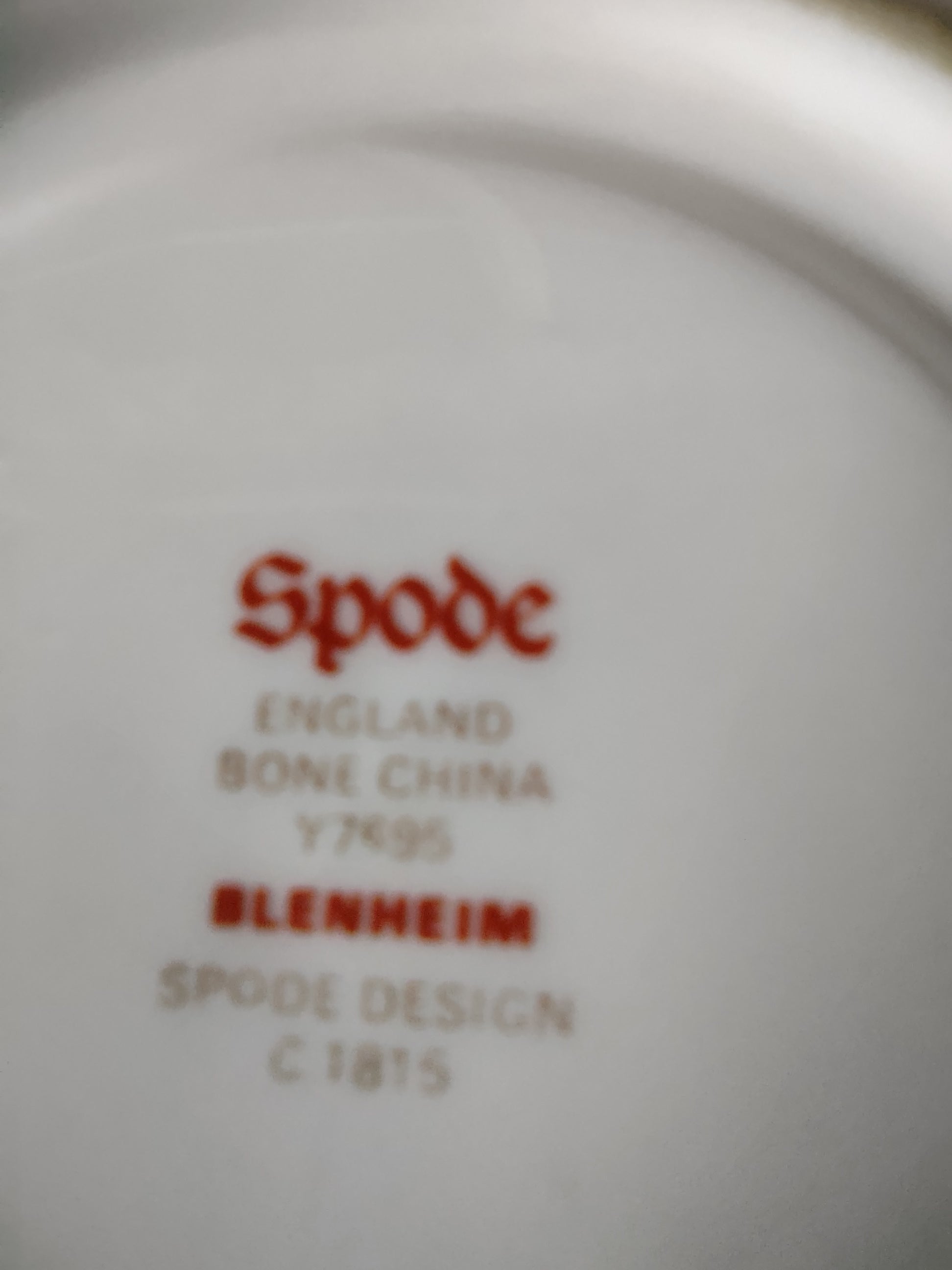Vintage Spode English Teacup Saucer Blenheim Bone China Set Of 3 (Lot 5717)