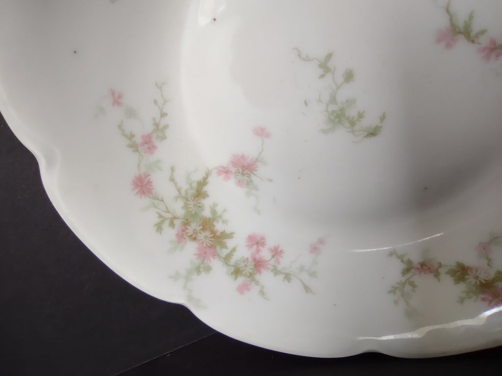 Haviland Limoges Cream Soup Plate Pink Thistle & Daisy (lot 883)