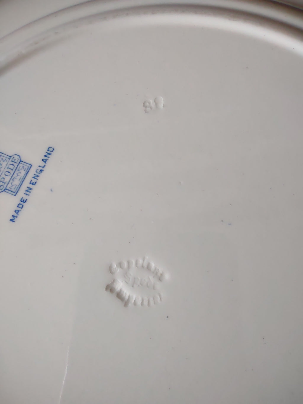 Vintage Copeland Late Spode Dinner Plate Blue White Trim (Lot 5742)