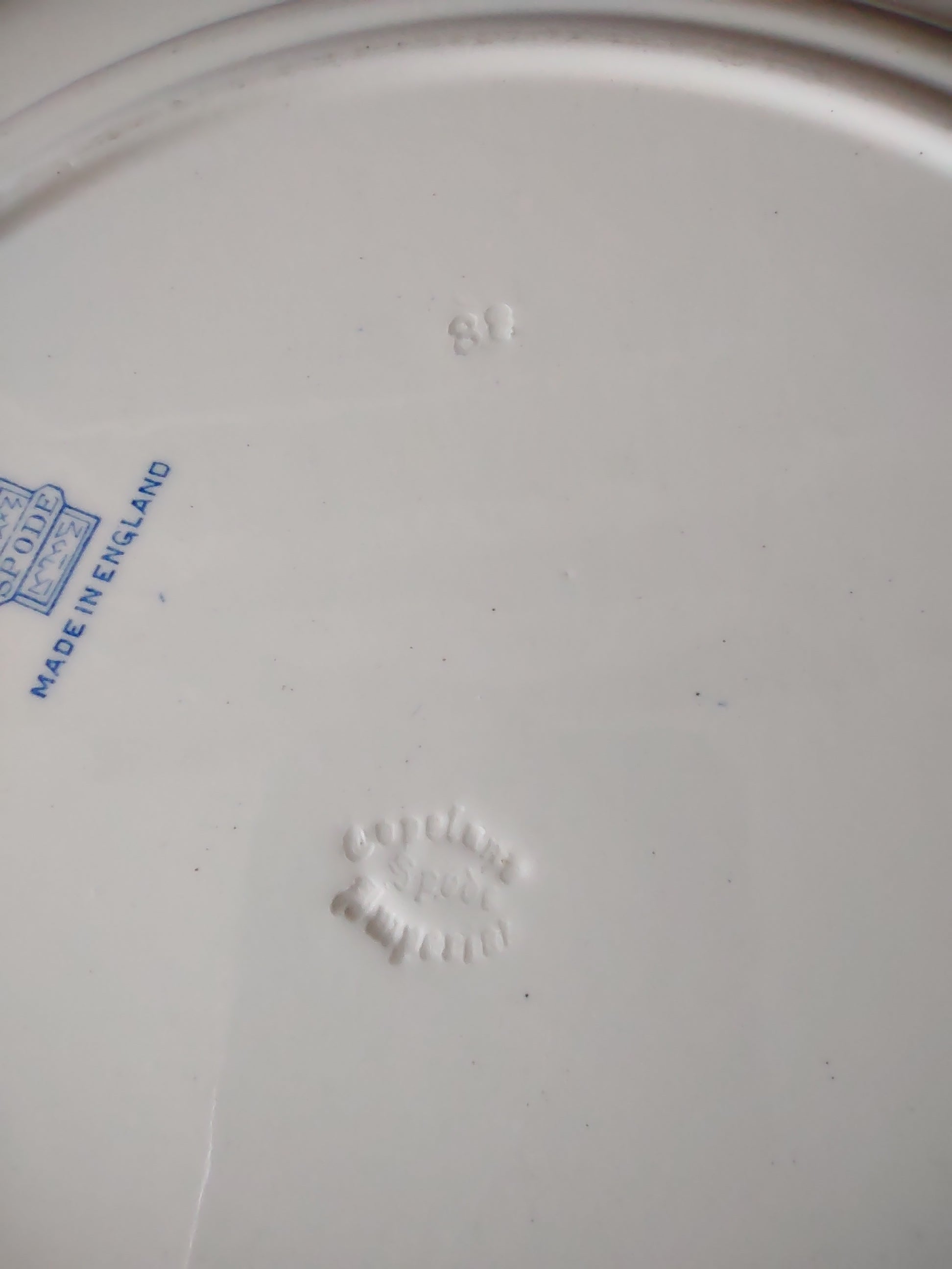 Vintage Copeland Late Spode Dinner Plate Blue White Trim (Lot 5742)