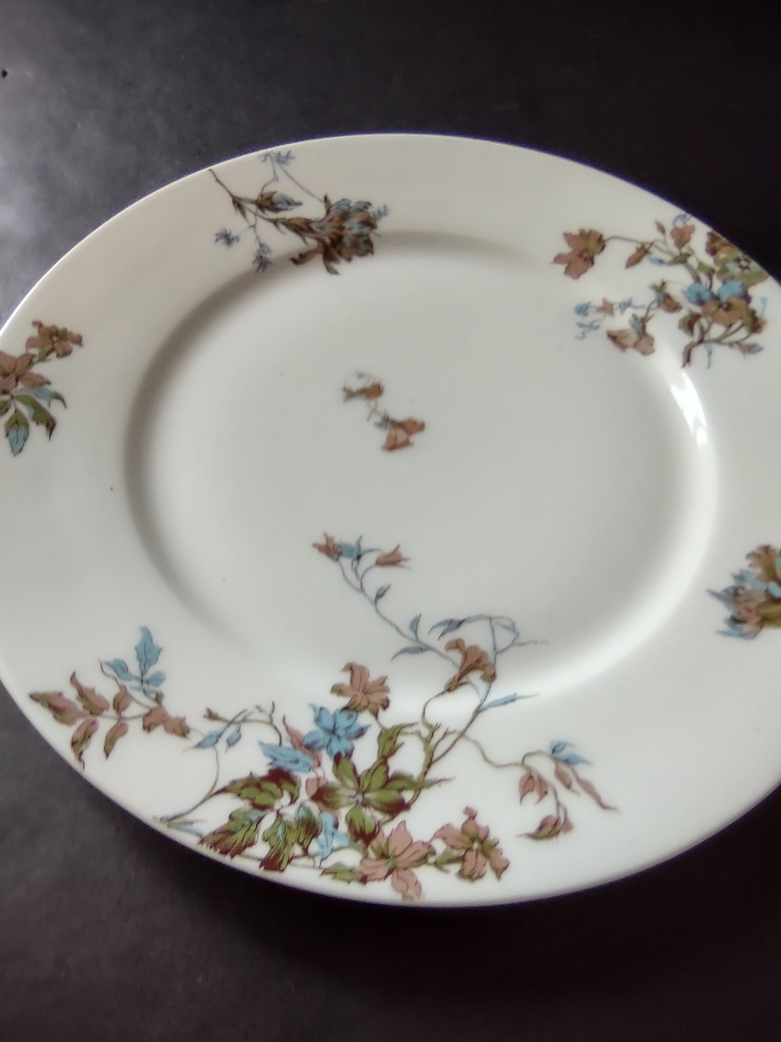 Depose Haviland Limoges Pink Brown Cornflower Luncheon /Salad Plate (lot 968)