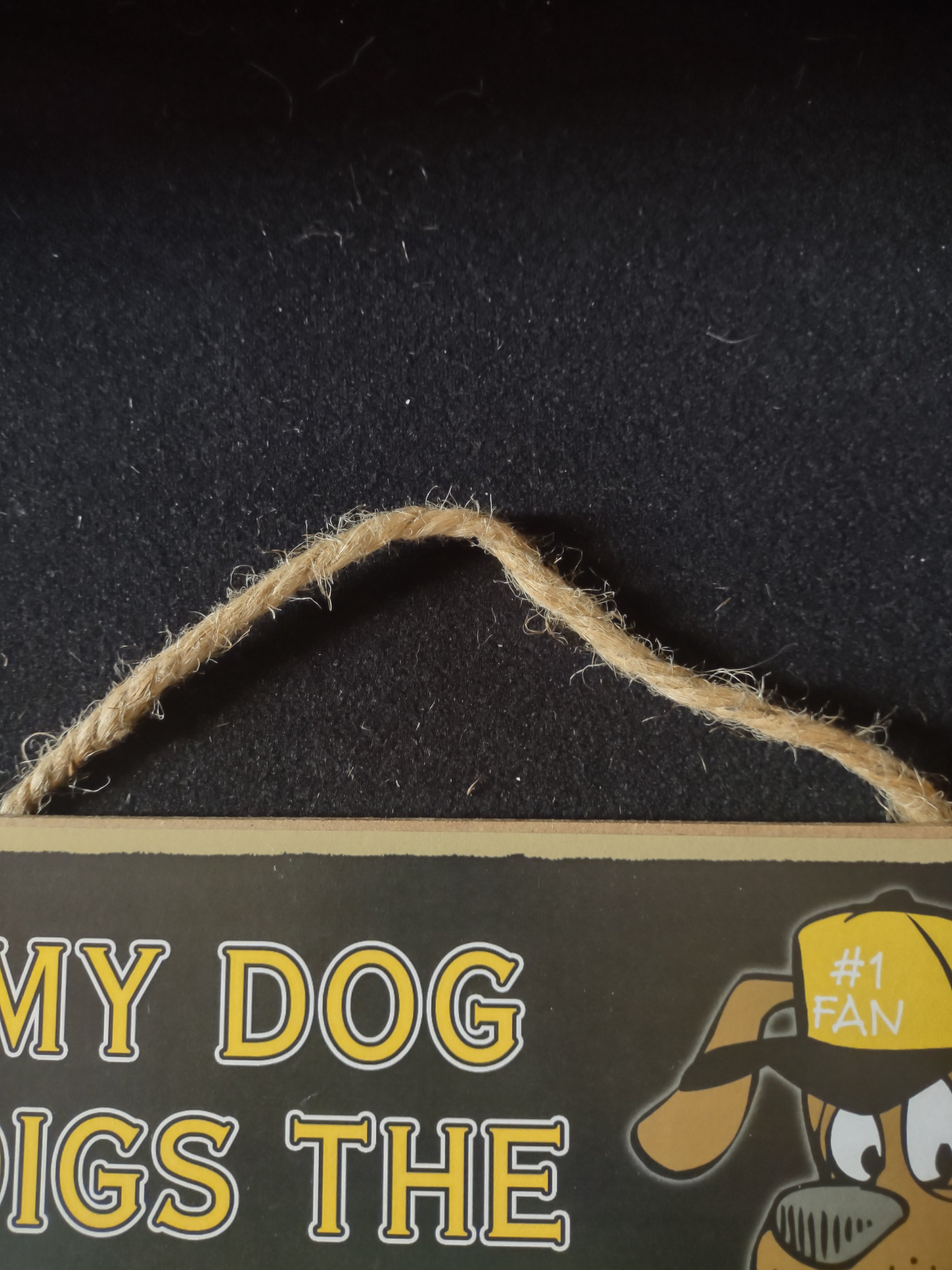 Steeler Fan 10X5" Plague My Dog Digs the Steelers (Lot 4527)