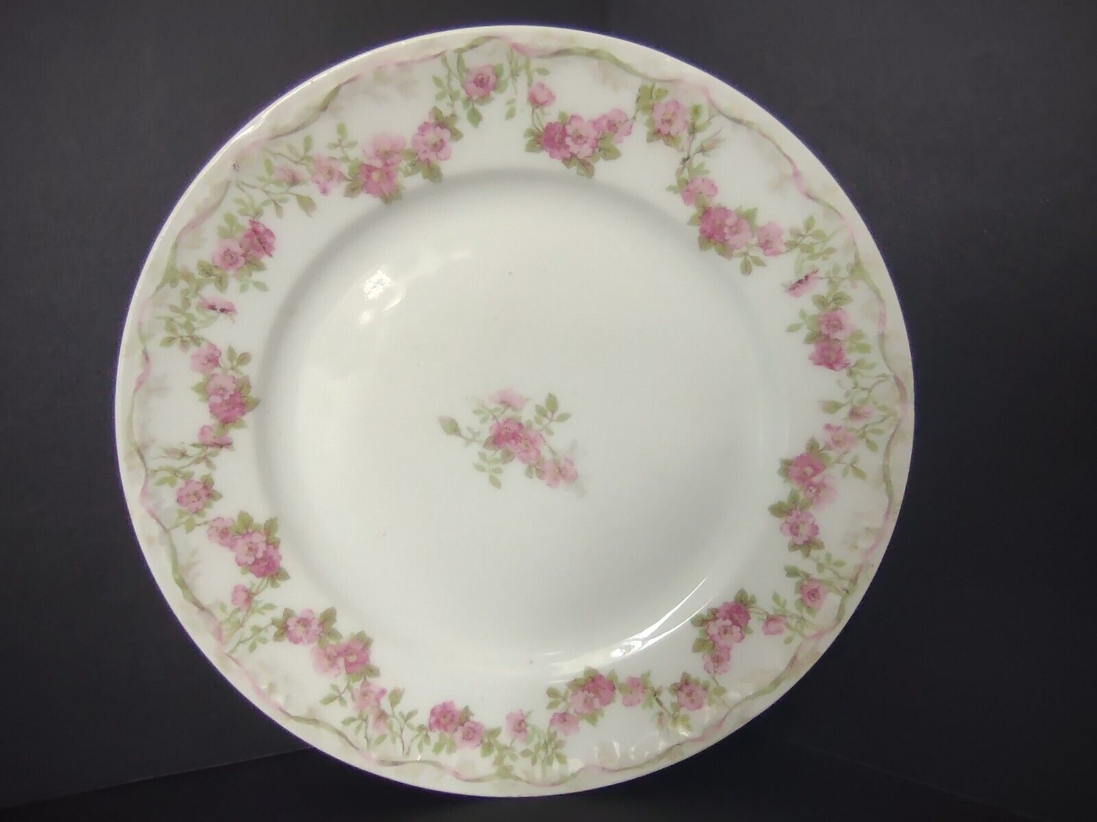 GDA Limoges Dinner & Salad Plate Apple Blossom Garland Swag Ribbon (lot 747)