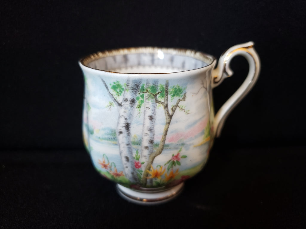 Vintage Royal Albert Silver Birch Demitasse Cup ONLY (lot 2030)