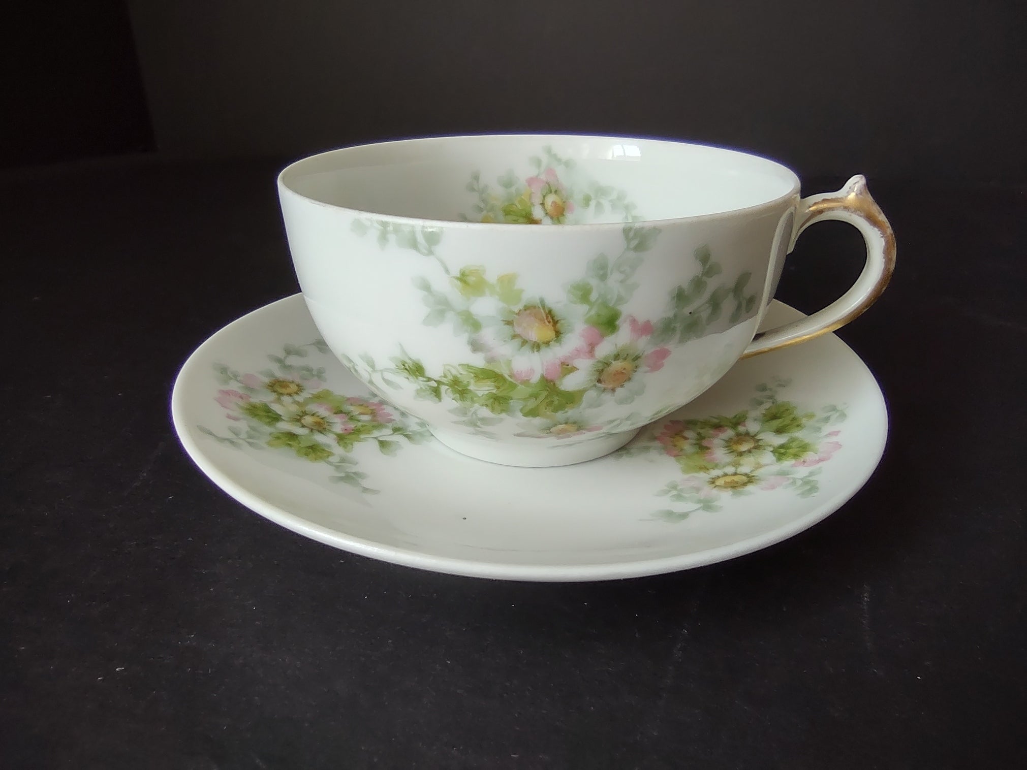 Haviland Limoges GDA Tea Cup & Saucer Pink Daisy Daisies (lot 878)