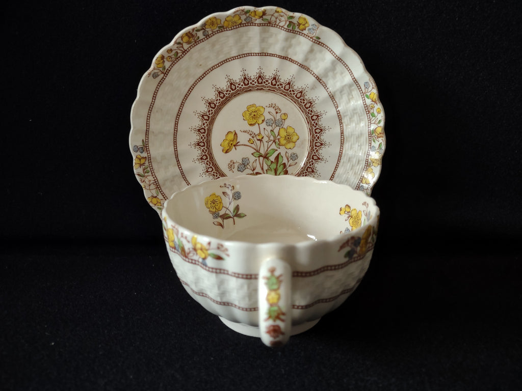 Vintage Spode Buttercup Teacup Saucer English Countryside Ironstone (lot 5747)