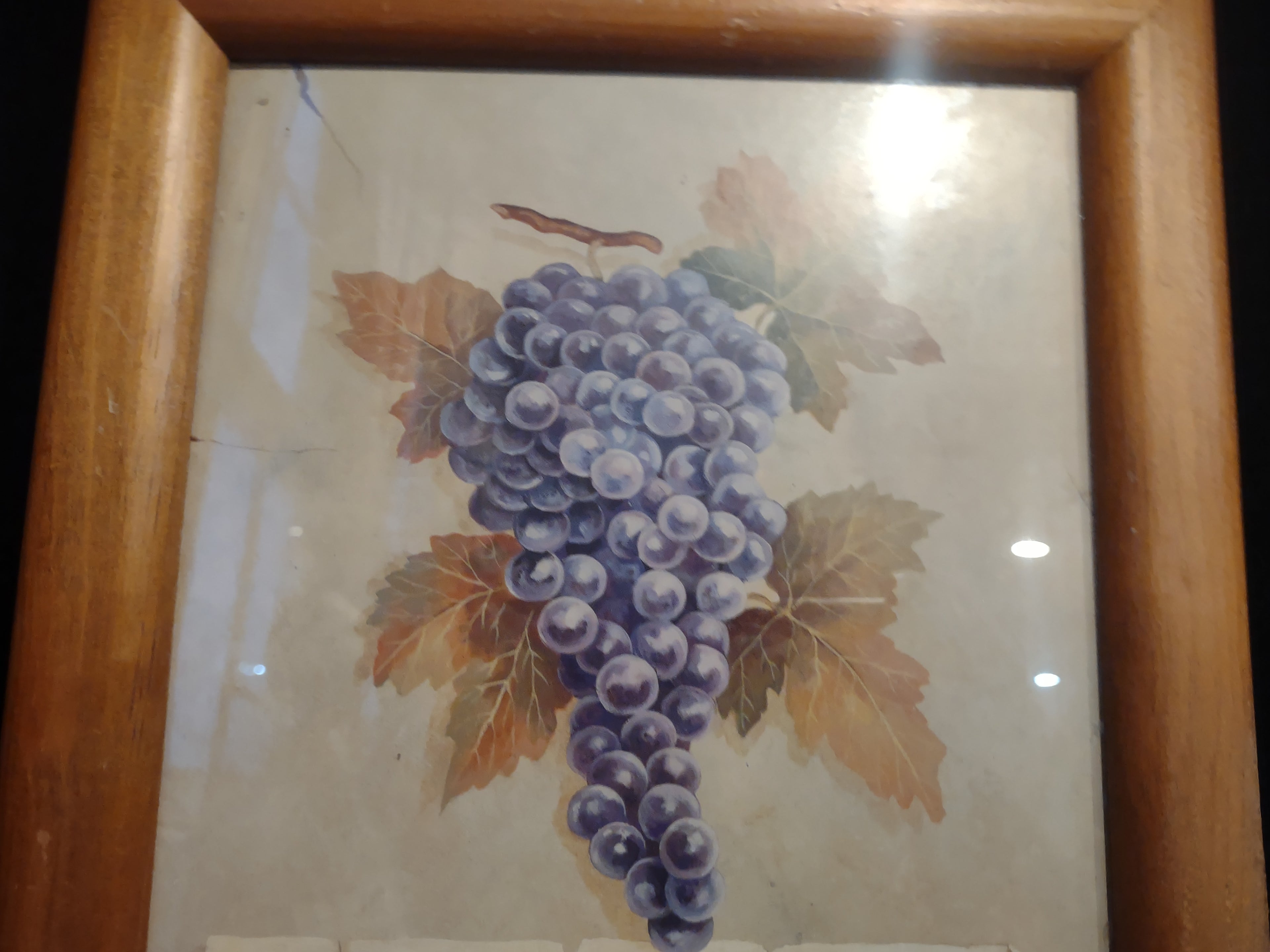 Zinfandel Grape Picture Wooden Frame (lot 2508c)
