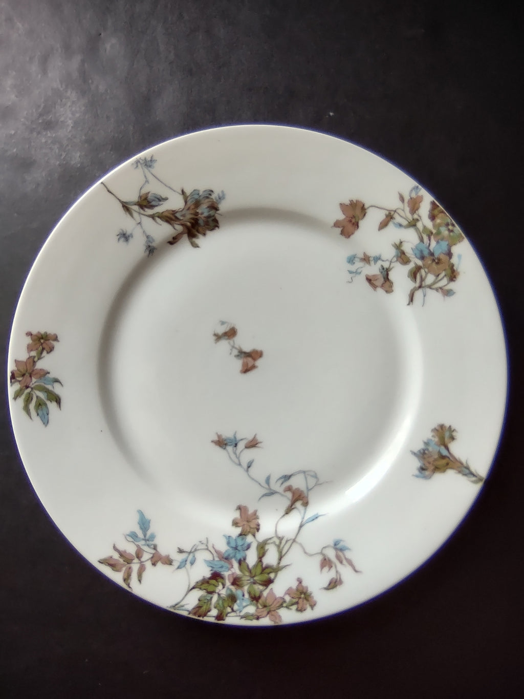 Depose Haviland Limoges Pink Brown Cornflower Luncheon /Salad Plate (lot 968)