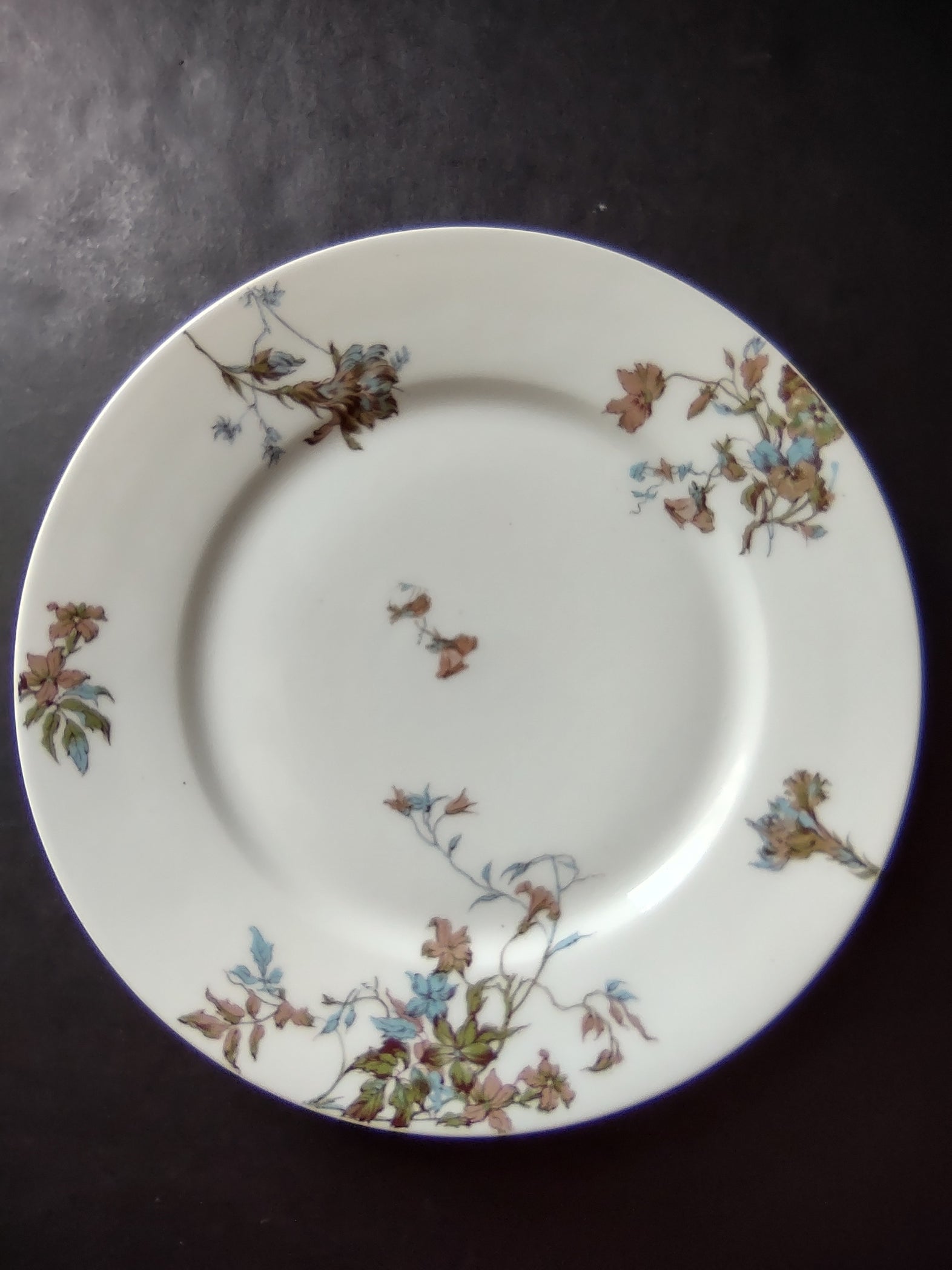 Depose Haviland Limoges Pink Brown Cornflower Luncheon /Salad Plate (lot 968)