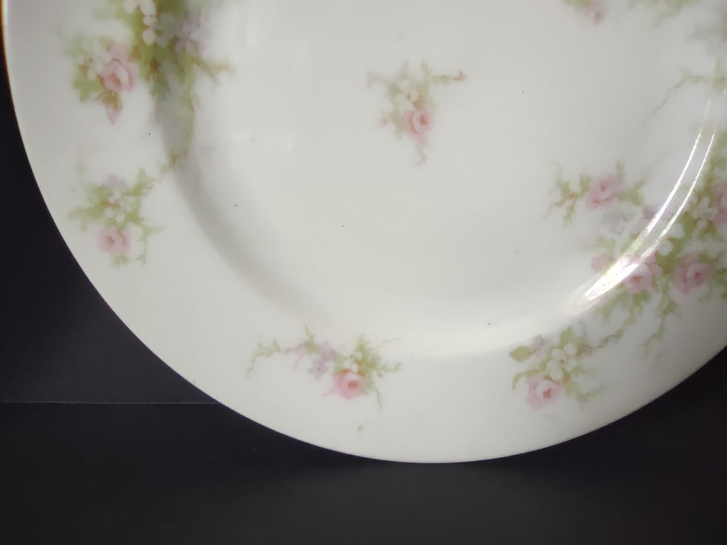 Haviland Limoges 2 x Bread Butter Plate Rose White Purple Flower Moss (lot 898)