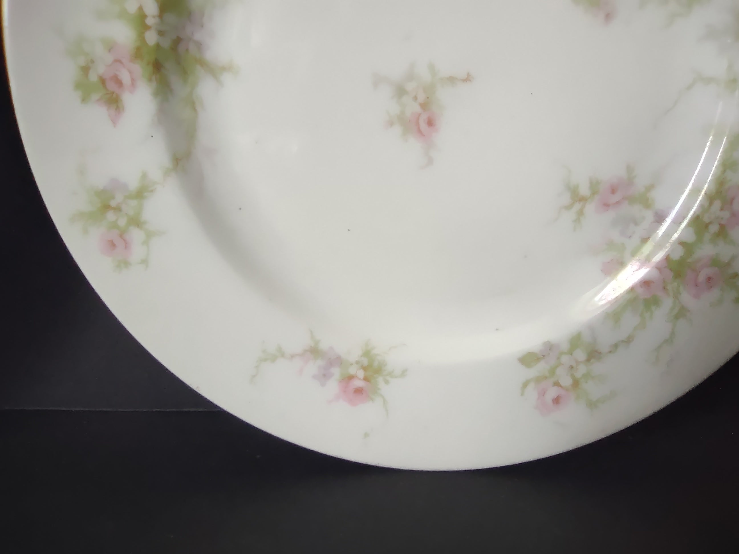 Haviland Limoges 2 x Bread Butter Plate Rose White Purple Flower Moss (lot 898)