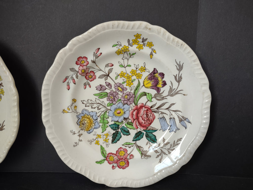 Vintage Spode English Countryside Romney Plate Ironstone x 2 (lot 5778)