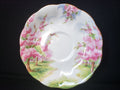 Vintage Royal Albert Bone China Blossom Time Saucer ONLY (lot 2021)