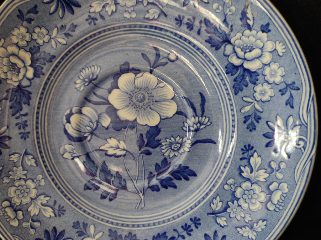 Spode Blue & White Room Saucer Botanical Vintage English Transferware (lot 5845)
