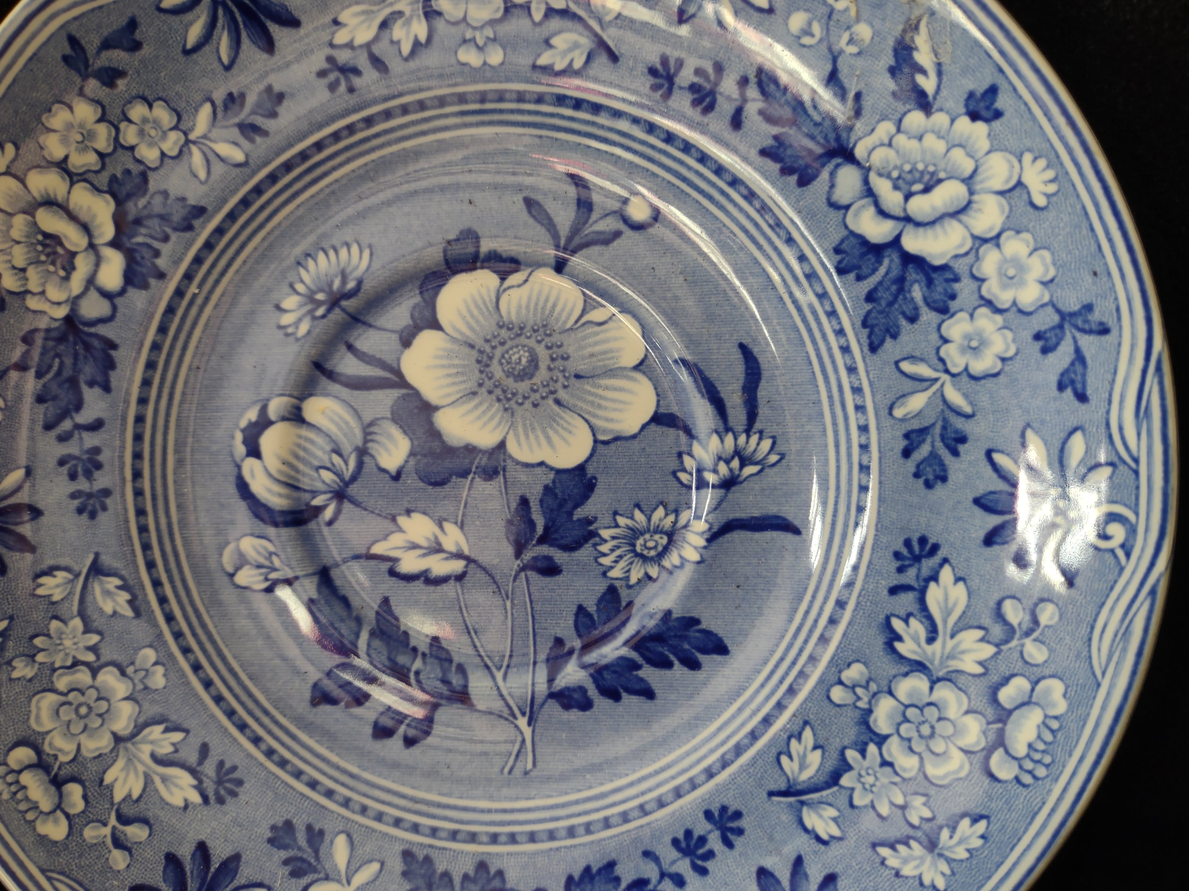 Spode Blue & White Room Saucer Botanical Vintage English Transferware (lot 5845)