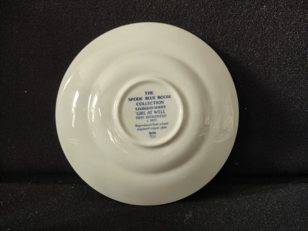 Spode Blue & White Room Teacup Saucer Vintage English Transferware (lot 5841)