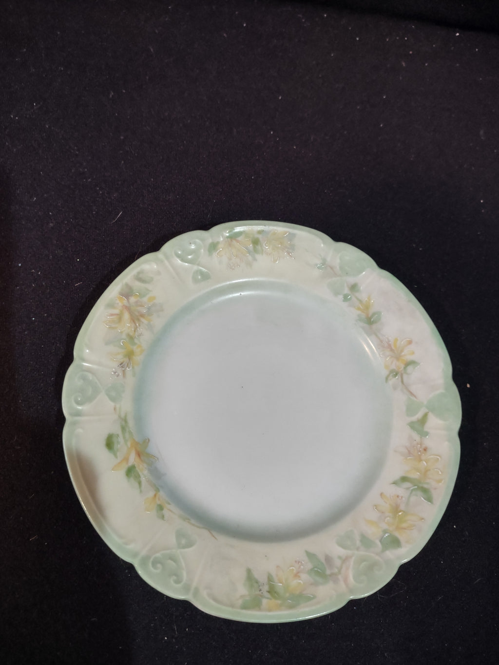 Vintage China 6 " Plate x 2 Floral Pattern Scalloped Green Rim Edge (Lot 5352)
