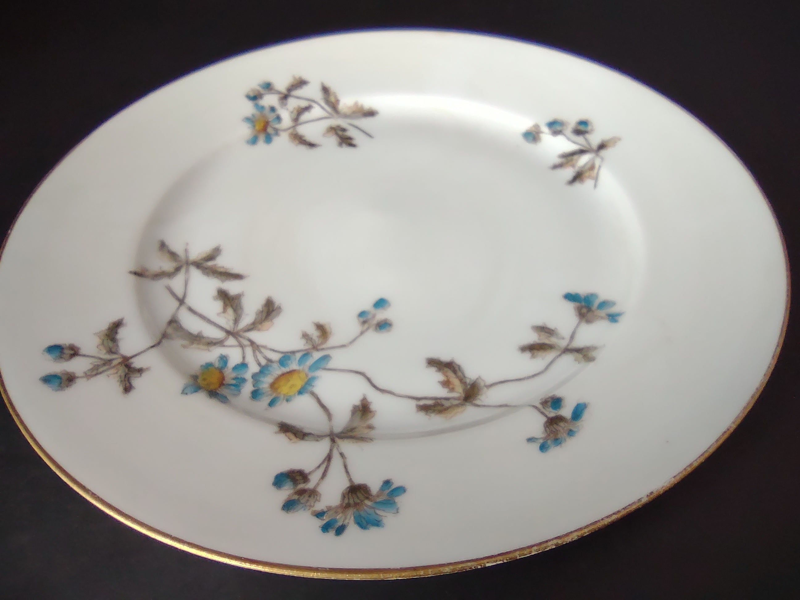 CFH GDA Haviland Limoges Luncheon/Salad Plate Blue Daisy Rustic Cottage (lot 982