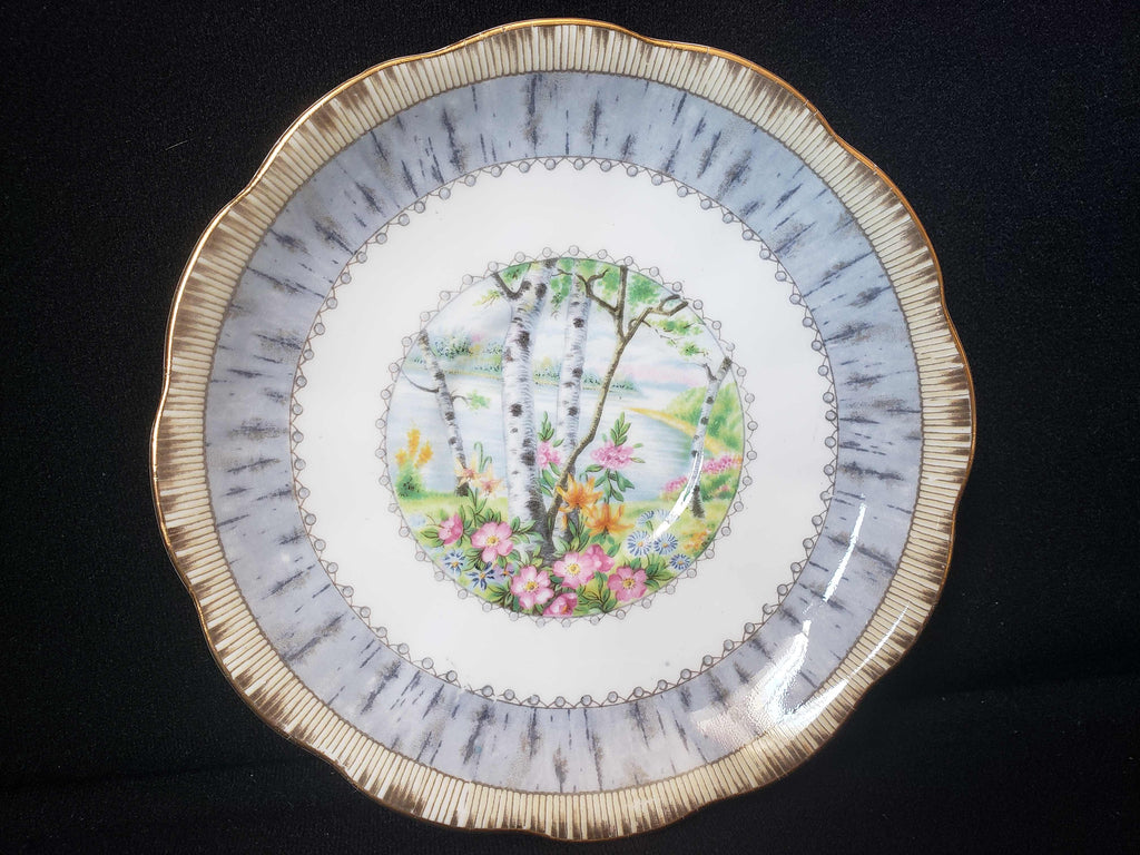 Vintage Royal Albert Bone China Silver Birch Saucer ONLY (lot 2015)