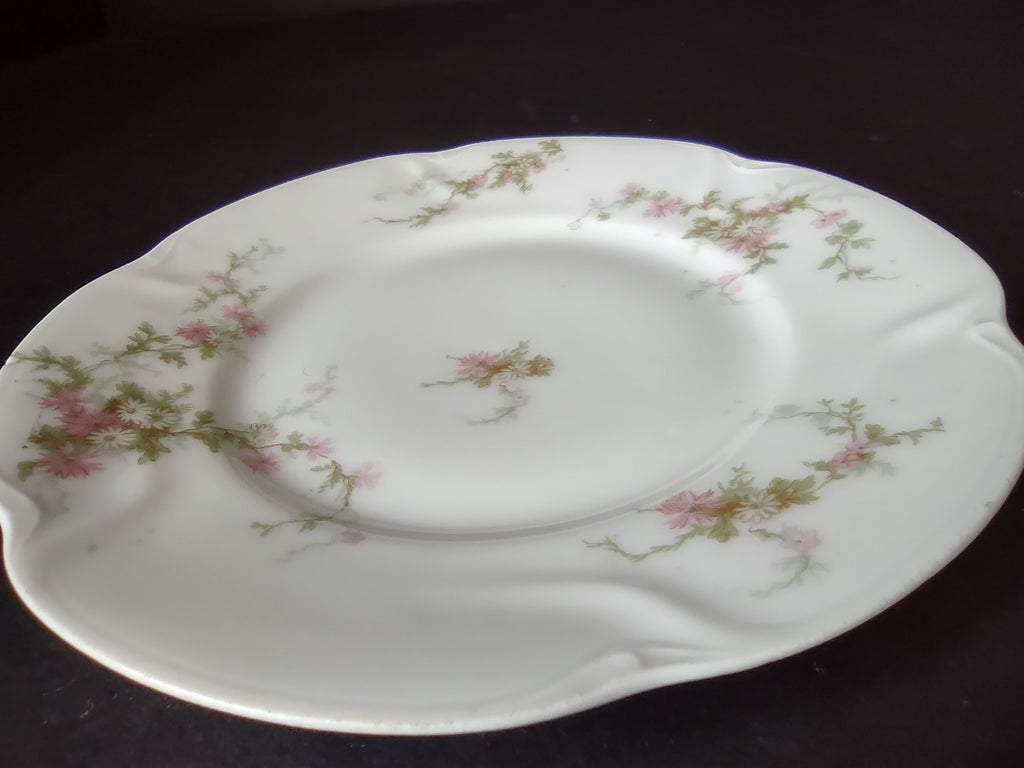 Haviland Limoges Bread Butter Plate Pink Thistle & Daisy (lot 881)