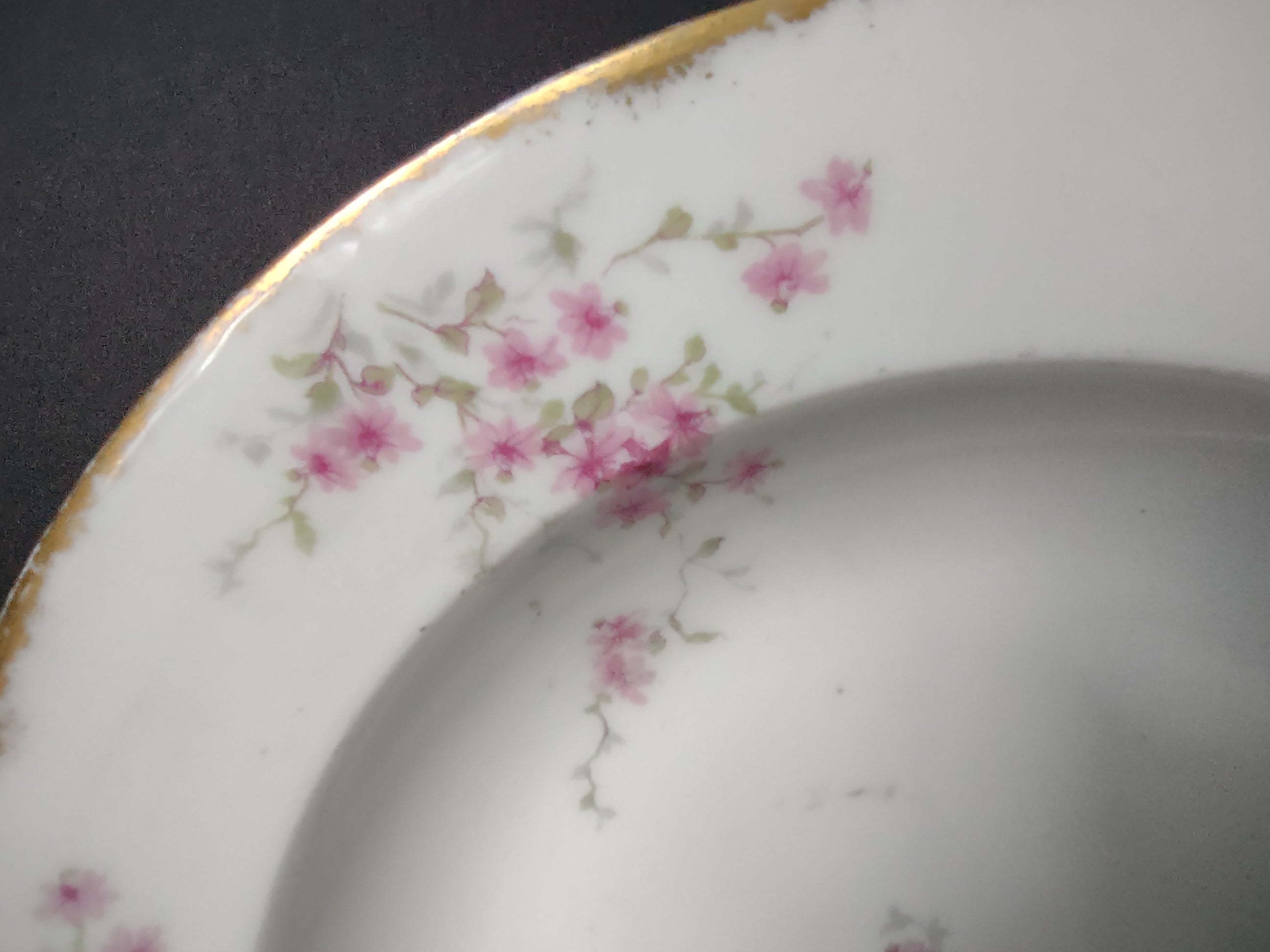 Haviland France Limoges Soup Plate 9-1/2" Pink Floral Gold Trim (lot 1006)
