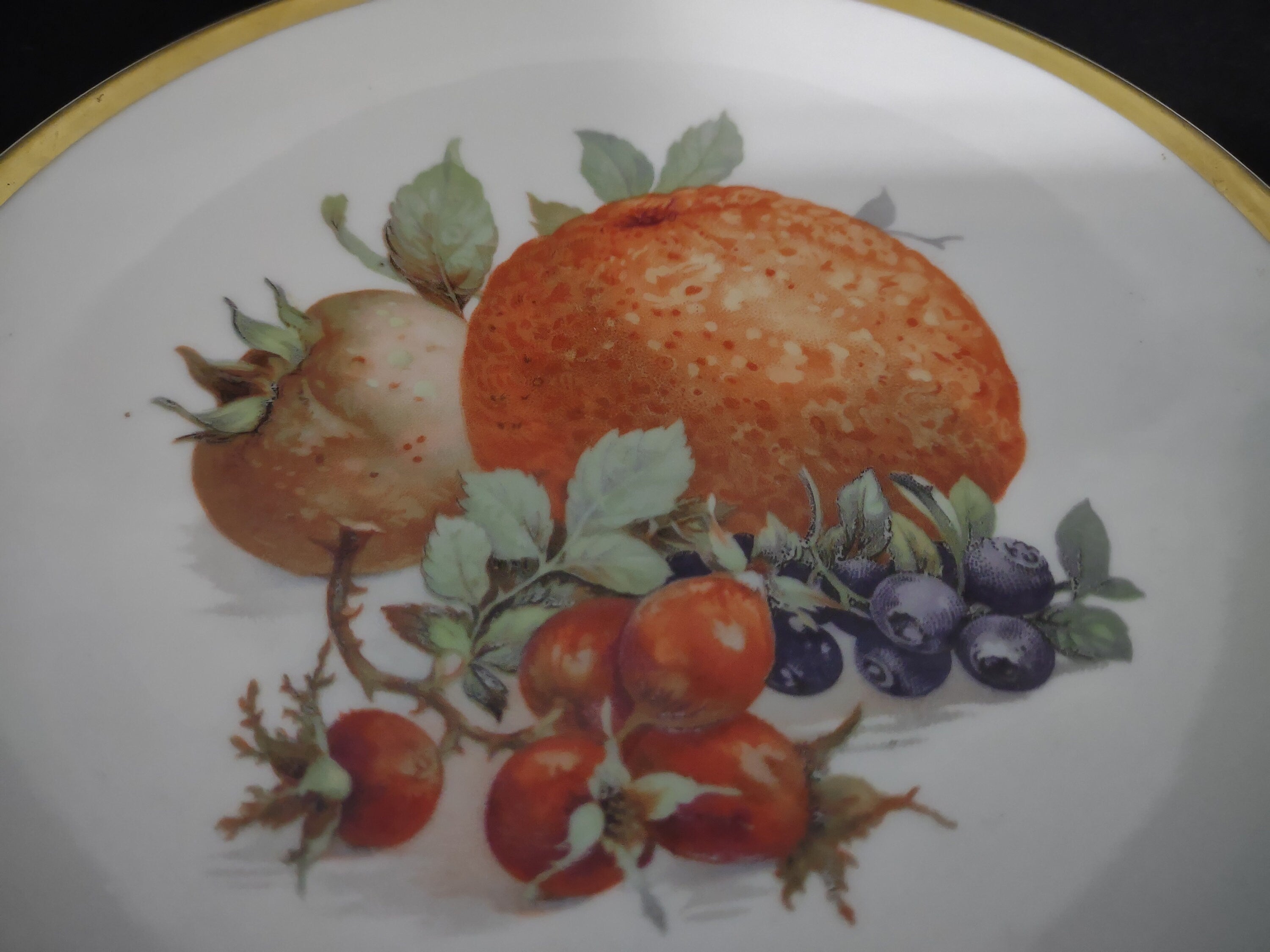 Collectible Plate Bavaria E&R Golden Crown Orchard Fake Orange Berry Fruit Design 7-3/4" # 128