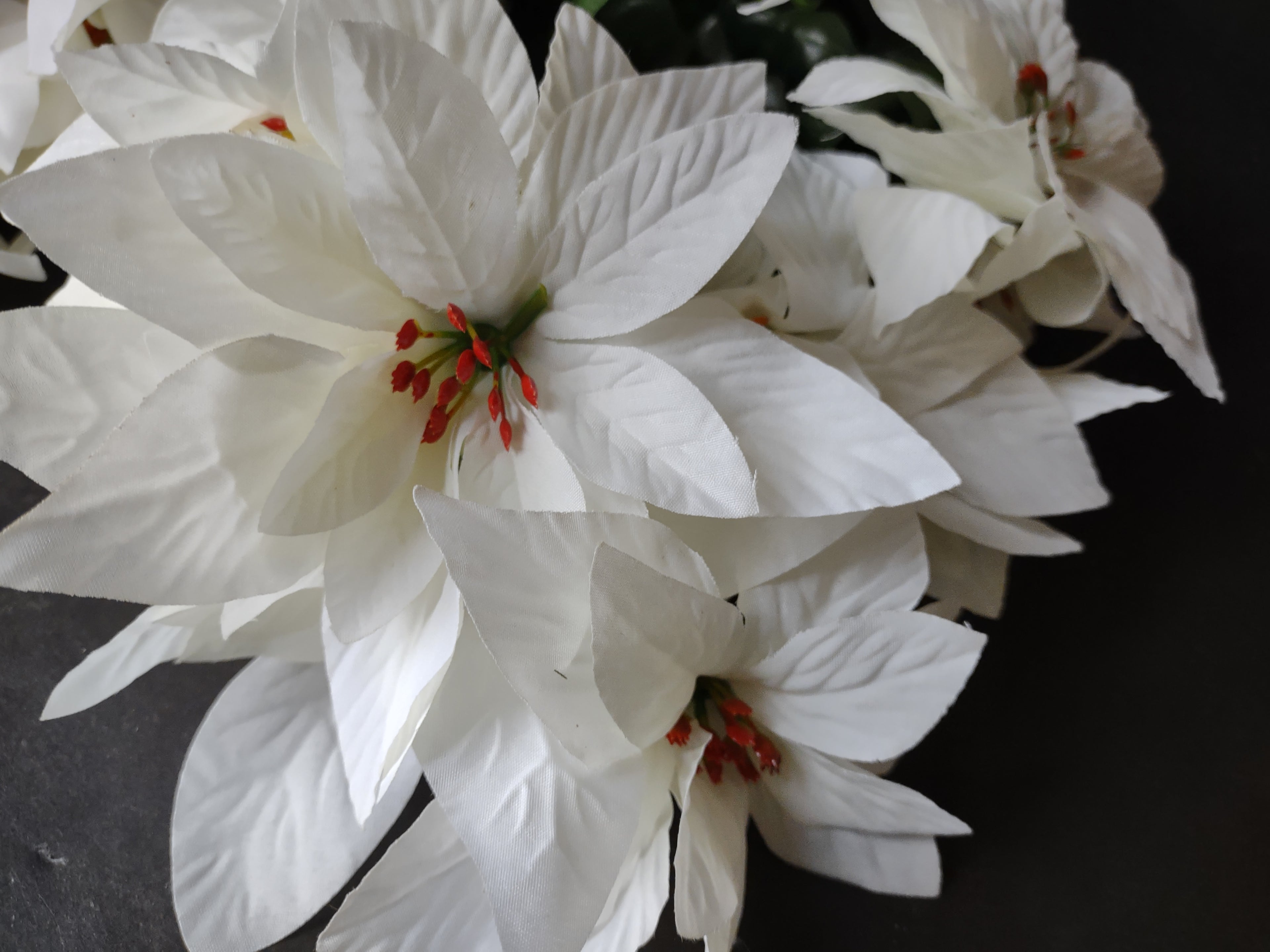 Christmas Lot Artificial Flower Poinsettia White 12 stems 17" Long (Lot 3342)