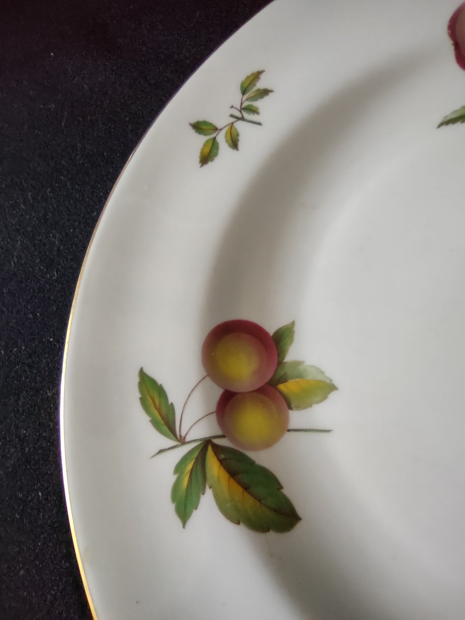 Vintage Spode Dinner Plate Blenheim Bone China Gold Trim Reproduction (Lot 5721)