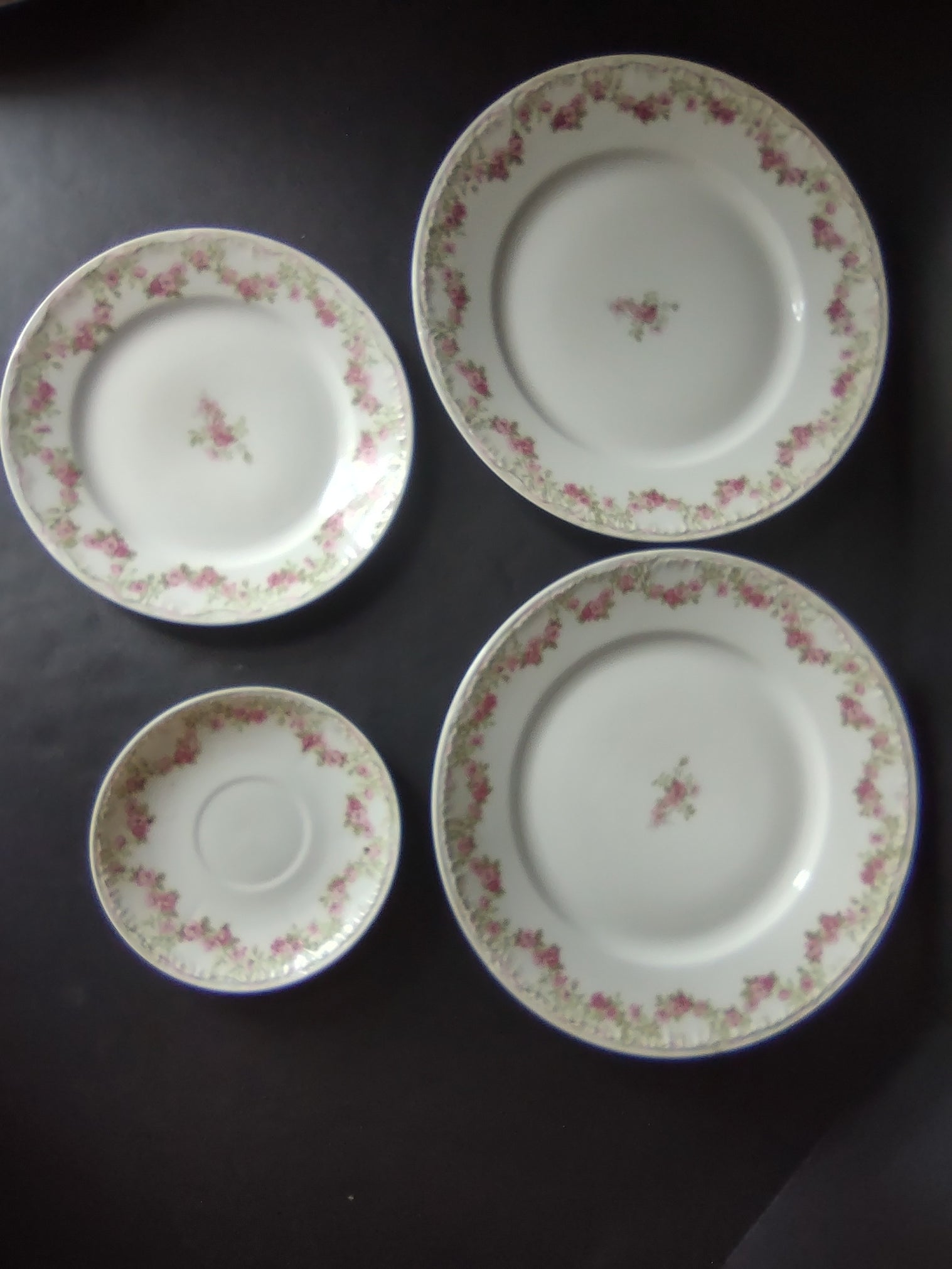 GDA Limoges Dinner & Salad Plate Apple Blossom Garland Swag Ribbon (lot 747)
