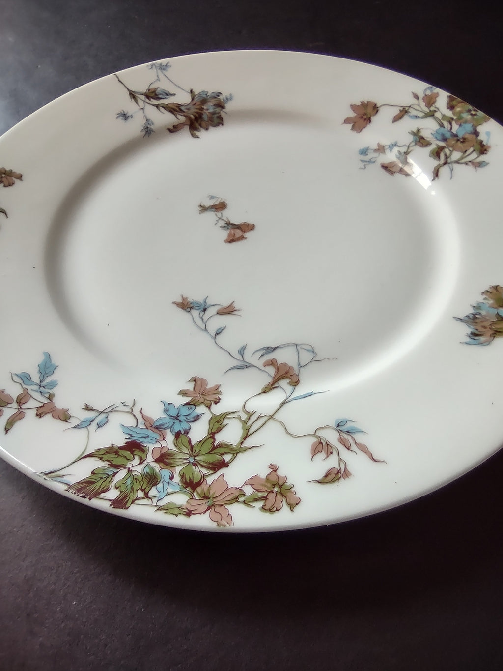 Depose Haviland Limoges Pink Brown Cornflower Luncheon /Salad Plate (lot 968)