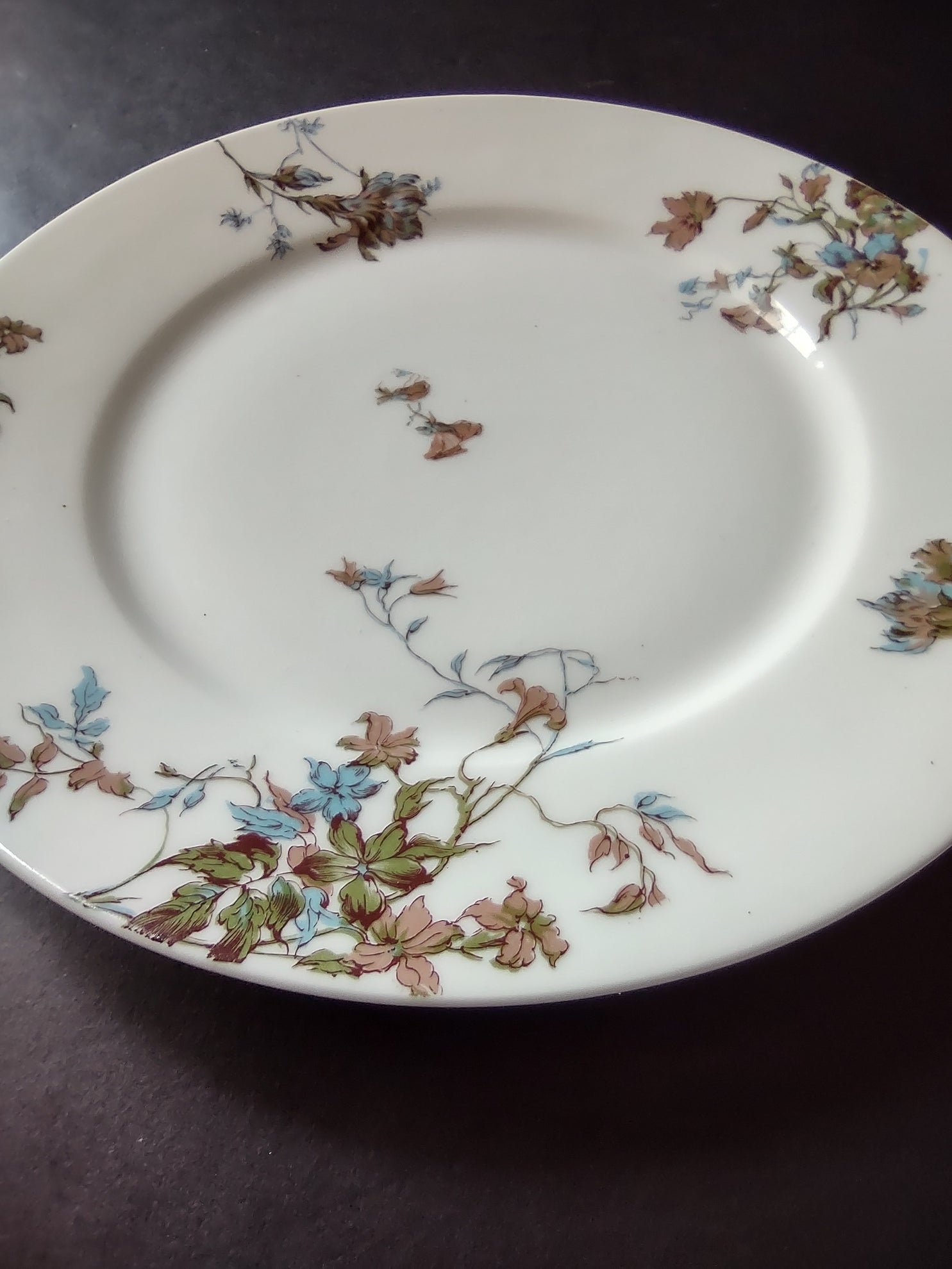 Depose Haviland Limoges Pink Brown Cornflower Luncheon /Salad Plate (lot 968)