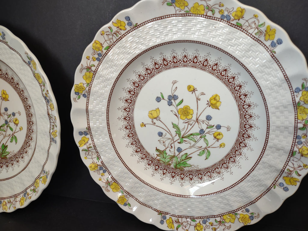 Vintage Spode Buttercup Dessert Plate x 3 English Countryside Ironstone lot 5741