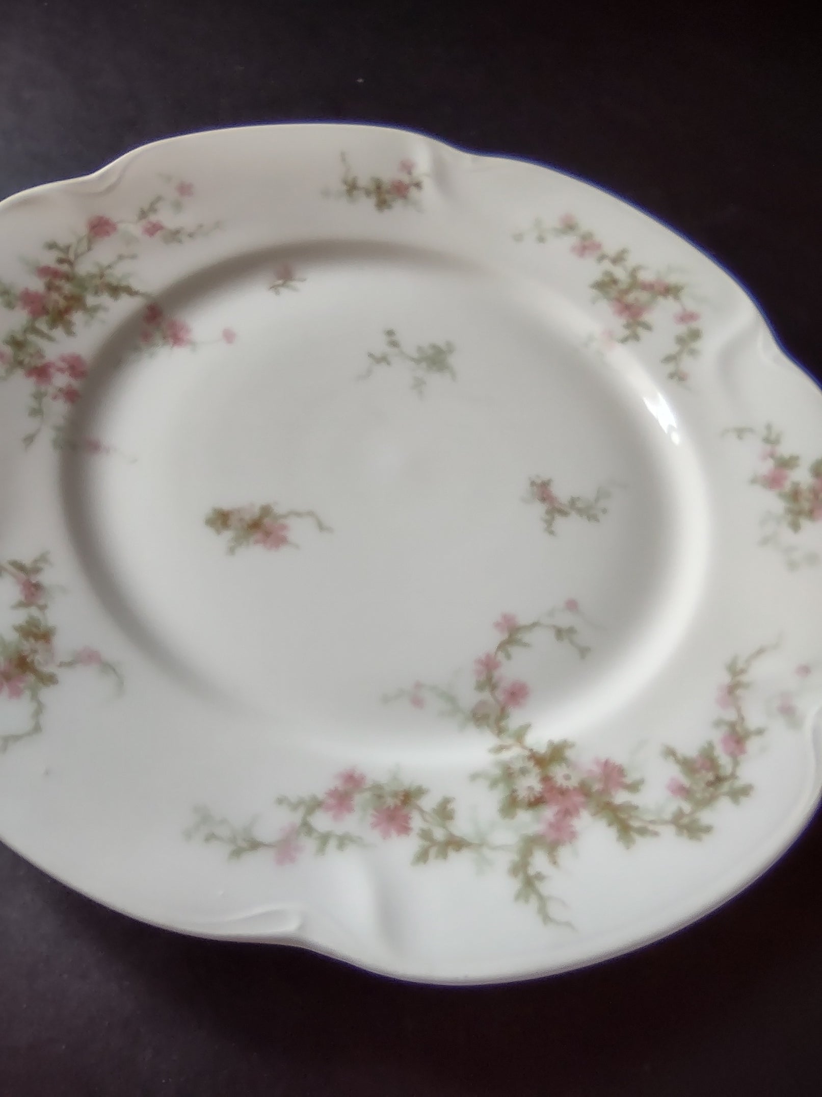 Haviland Limoges Dinner Plate Pink Thistle & Daisy (lot 880)