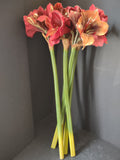 Artificial 30" Amarillo Flower x 6 (lot 3076c)