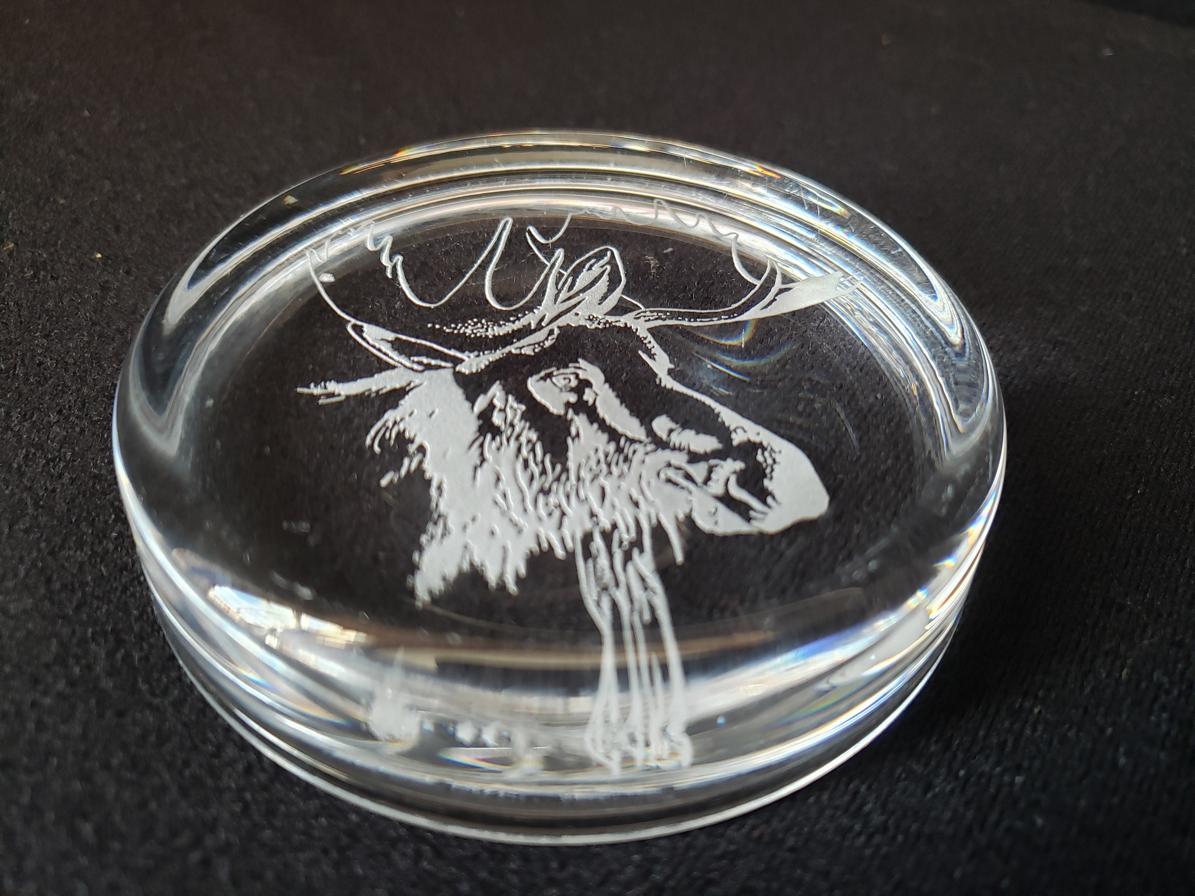 Moose Coaster Paper Weight Glass 3-3/8" (lot 2221)