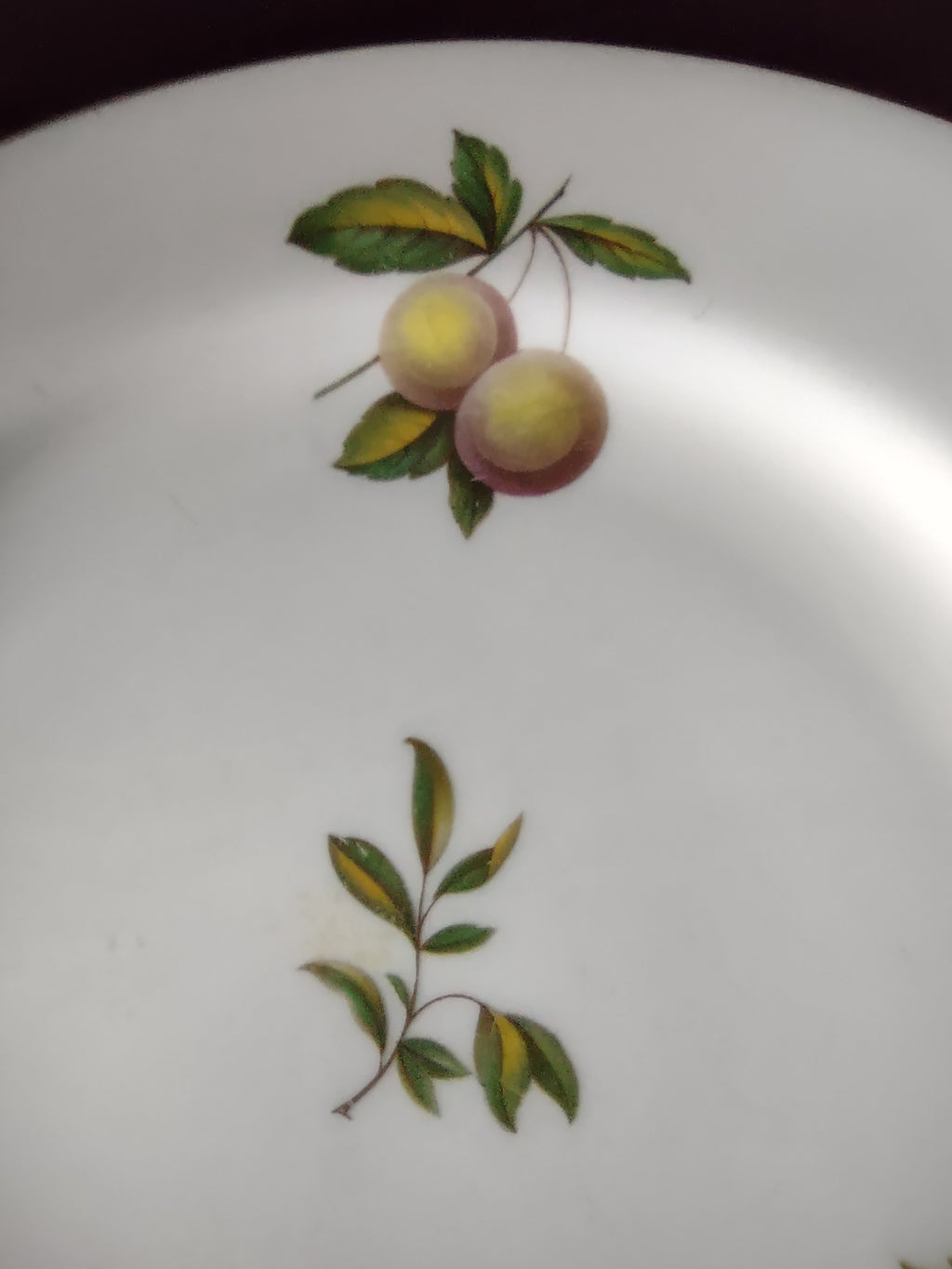 Vintage Spode Dinner Plate Blenheim #32 Bone China Gold Trim (Lot 5719)