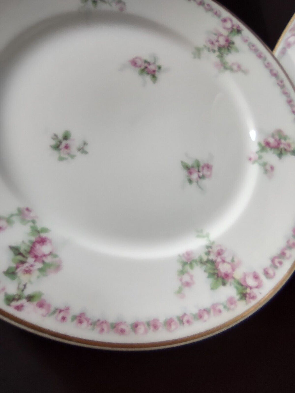 Avenir Limoges France 5 x Salad Plate Rose Garland (lot 559)