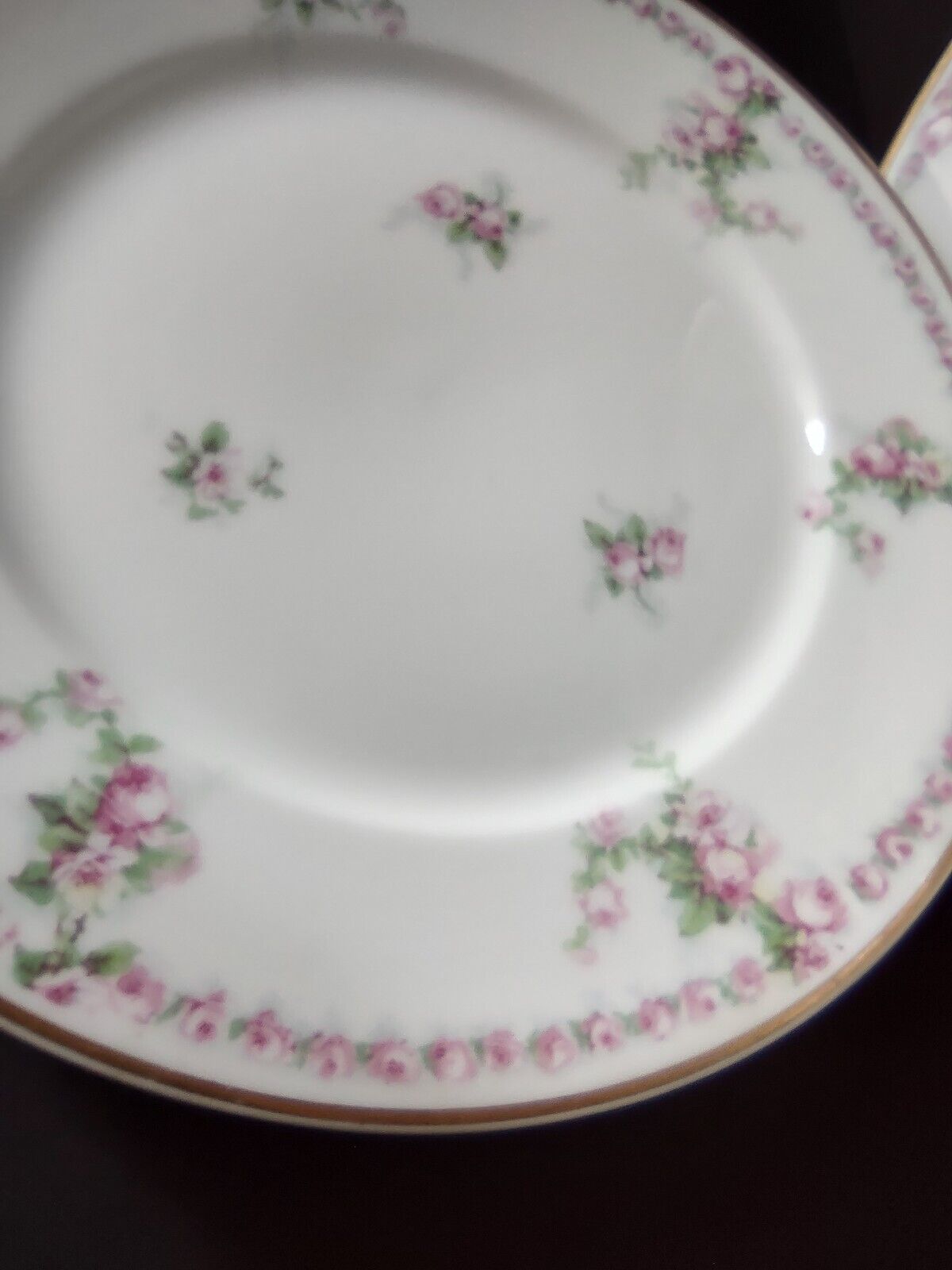 Avenir Limoges France 5 x Salad Plate Rose Garland (lot 559)