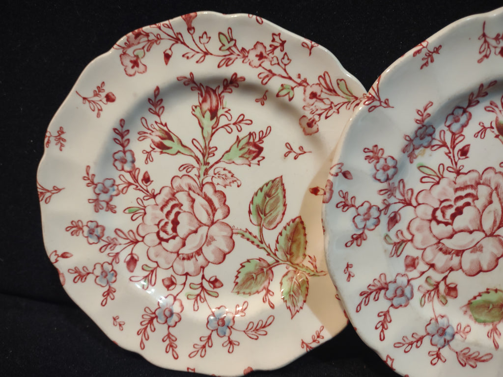 Vintage Dinner Plate x 2 Rose Chintz Johnson Bros Black Stamp (lot 5696)