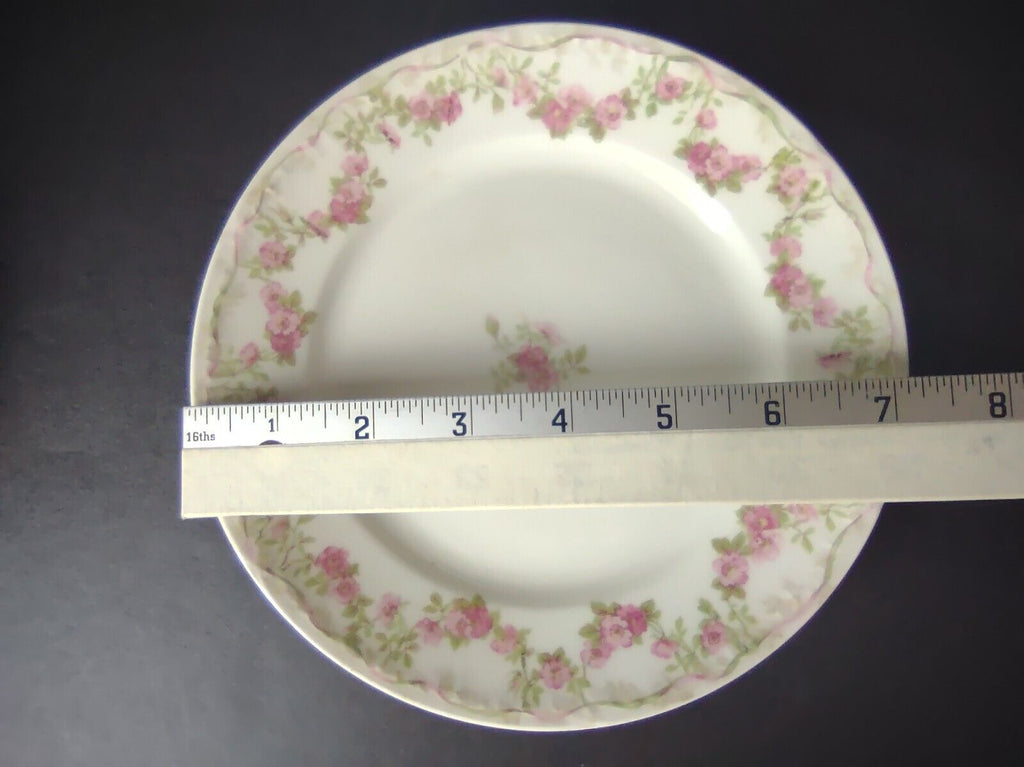 GDA Limoges Dinner & Salad Plate Apple Blossom Garland Swag Ribbon (lot 747)