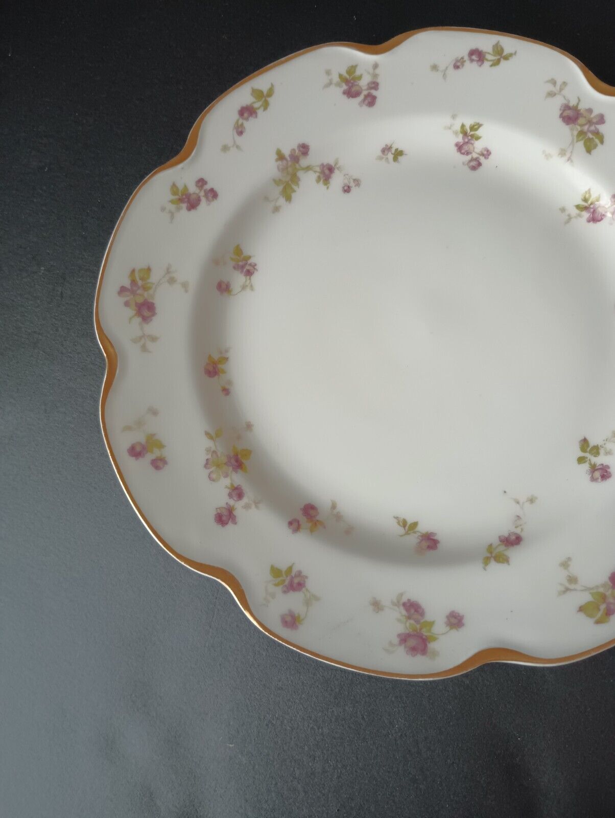 Haviland Limoges Set of 2 Plate Dinner 9-3/4" Gold Trim Roses (lot 382)
