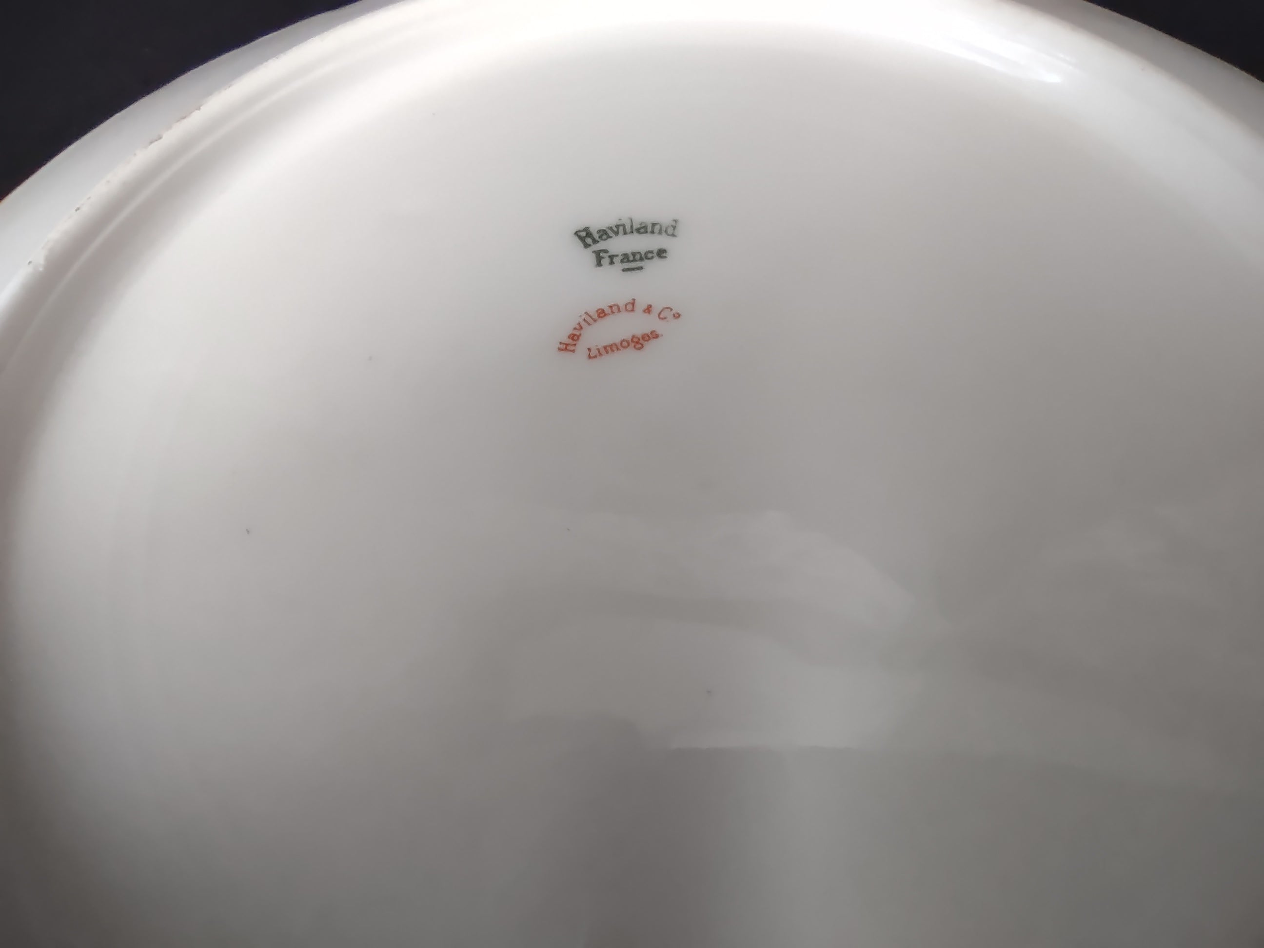 Haviland Limoges Dinner Plate White Scalloped Edge Rose Blue Ribbon (lot 853)