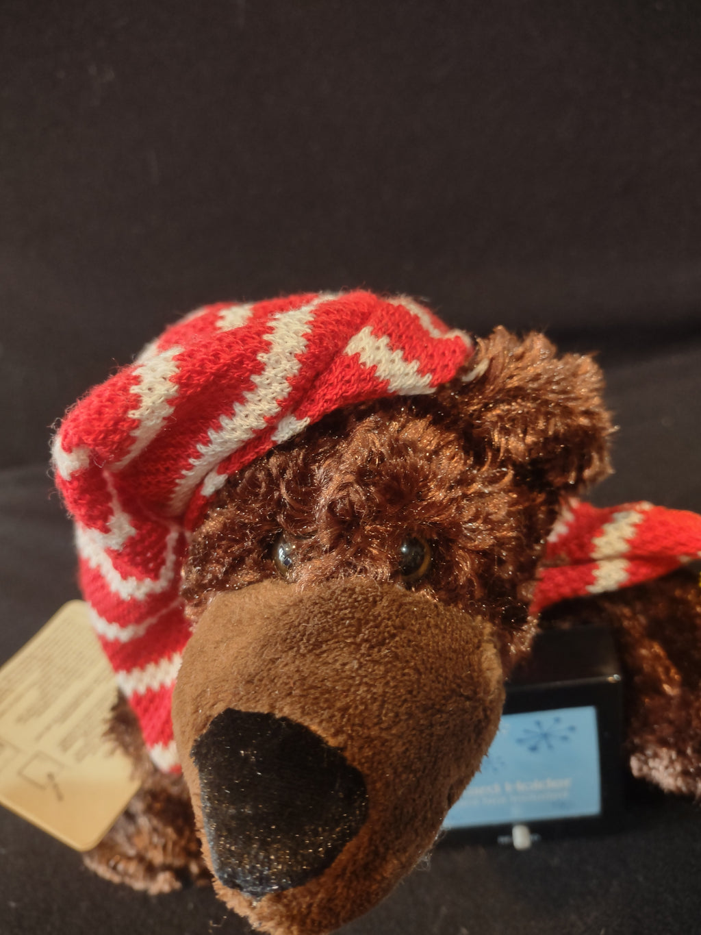 Christmas Winter Recordable Bear Gift Card Holder Stocking Hat Scarf (Lot 4231)