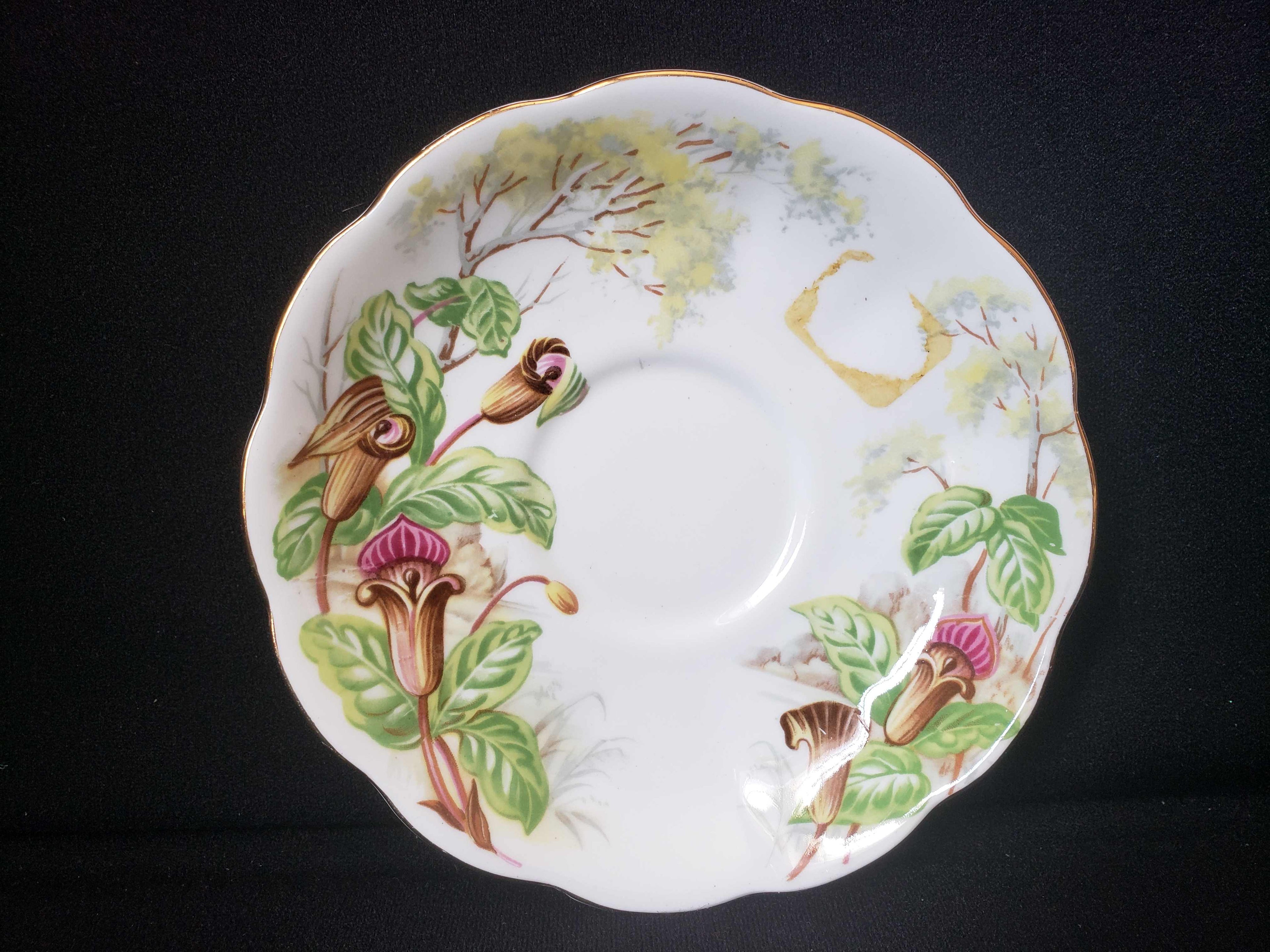 Vintage Royal Albert Bone Jack-in-a-Pulpit Saucer ONLY (lot 2011)