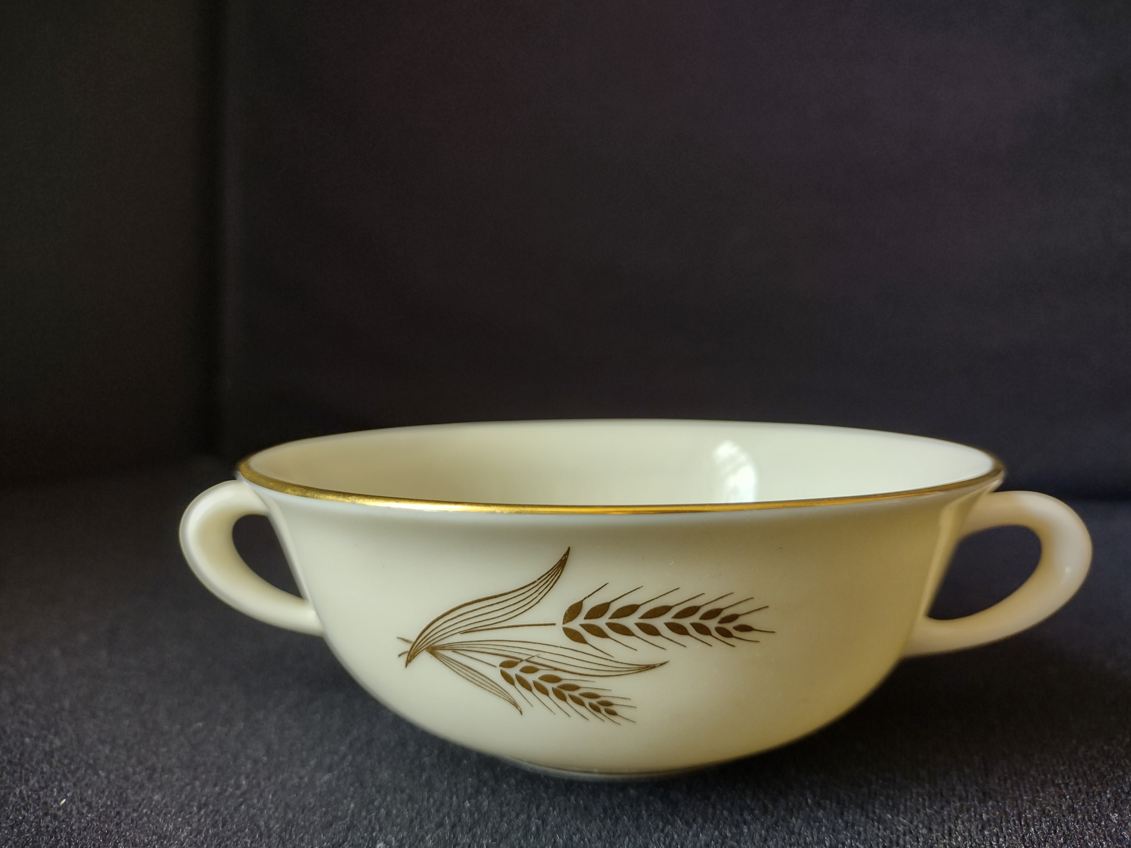 Vintage Lenox Harvest R-441 Bouillon 2-Handle Cup ONLY (lot 1894)