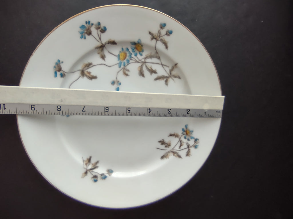 CFH GDA Haviland Limoges Luncheon/Salad Plate Blue Daisy Rustic Cottage (lot 982
