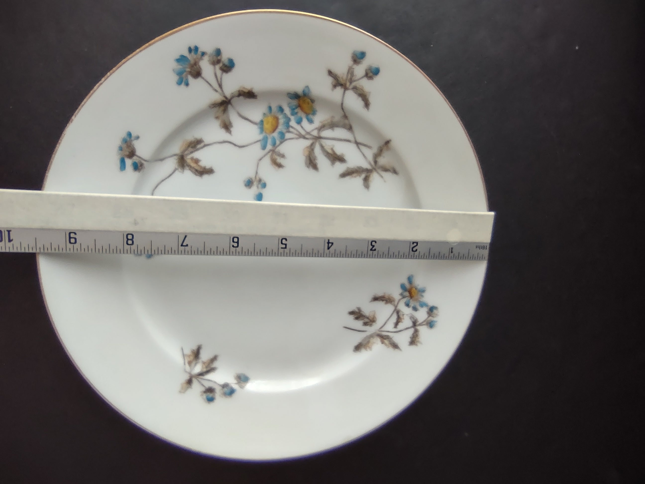 CFH GDA Haviland Limoges Luncheon/Salad Plate Blue Daisy Rustic Cottage (lot 982